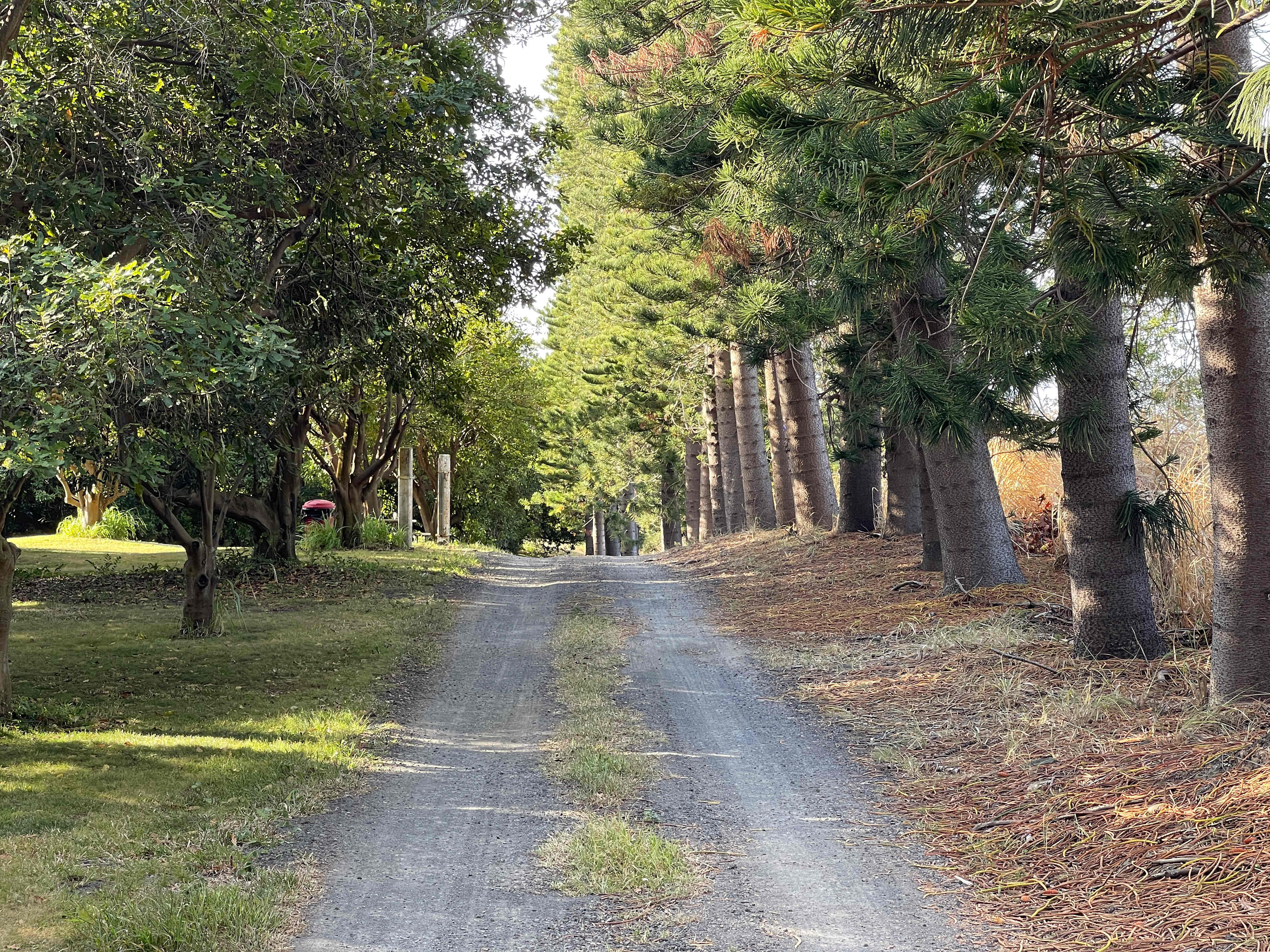 Hawaii Island's Best Campsites