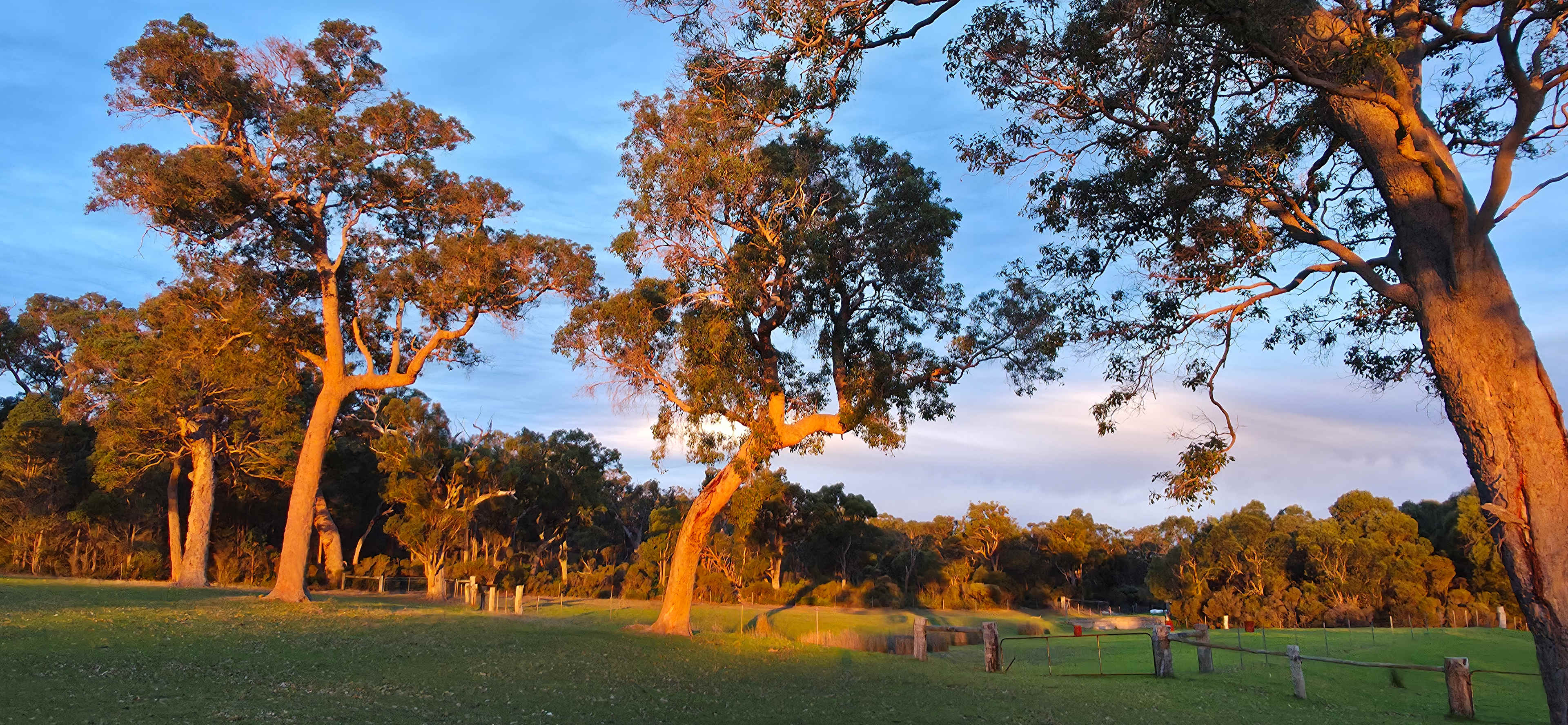 Sunset on the Hill