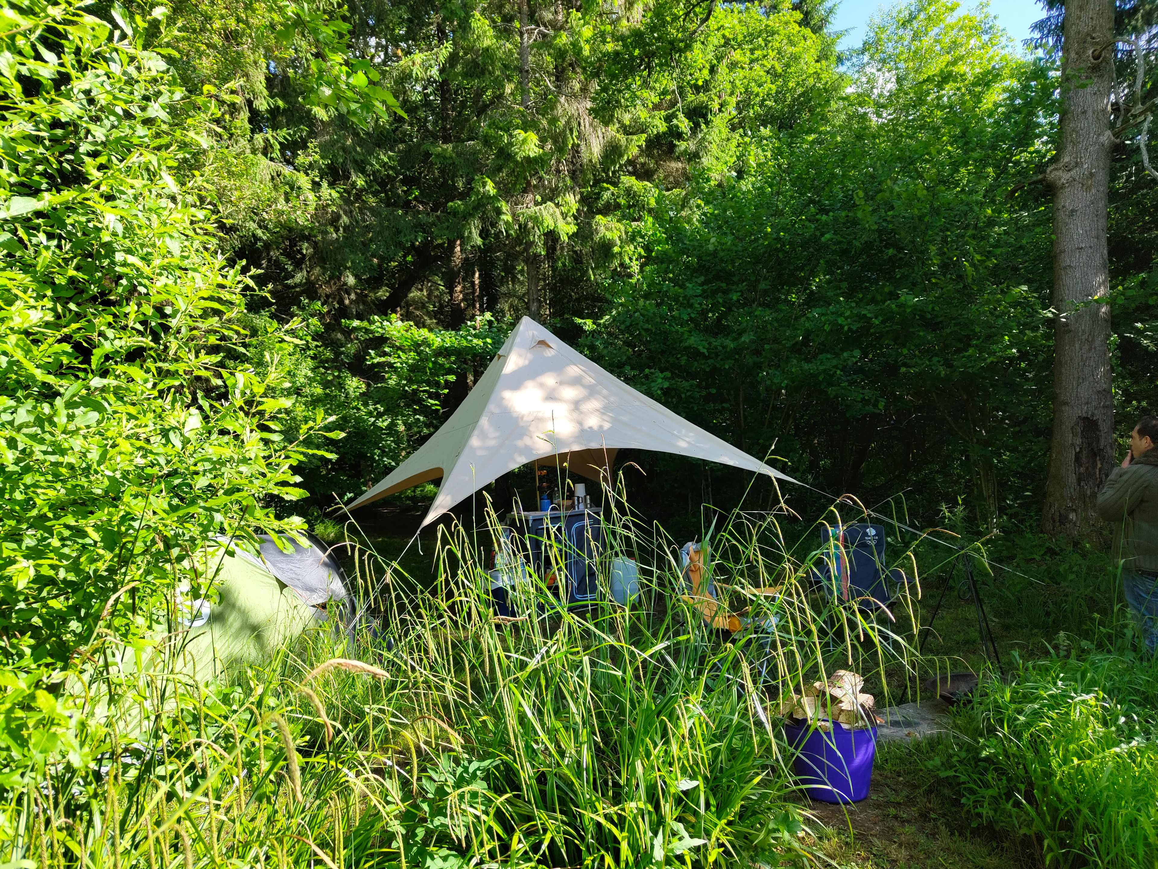 Bridgewood Camping - Woodland camps