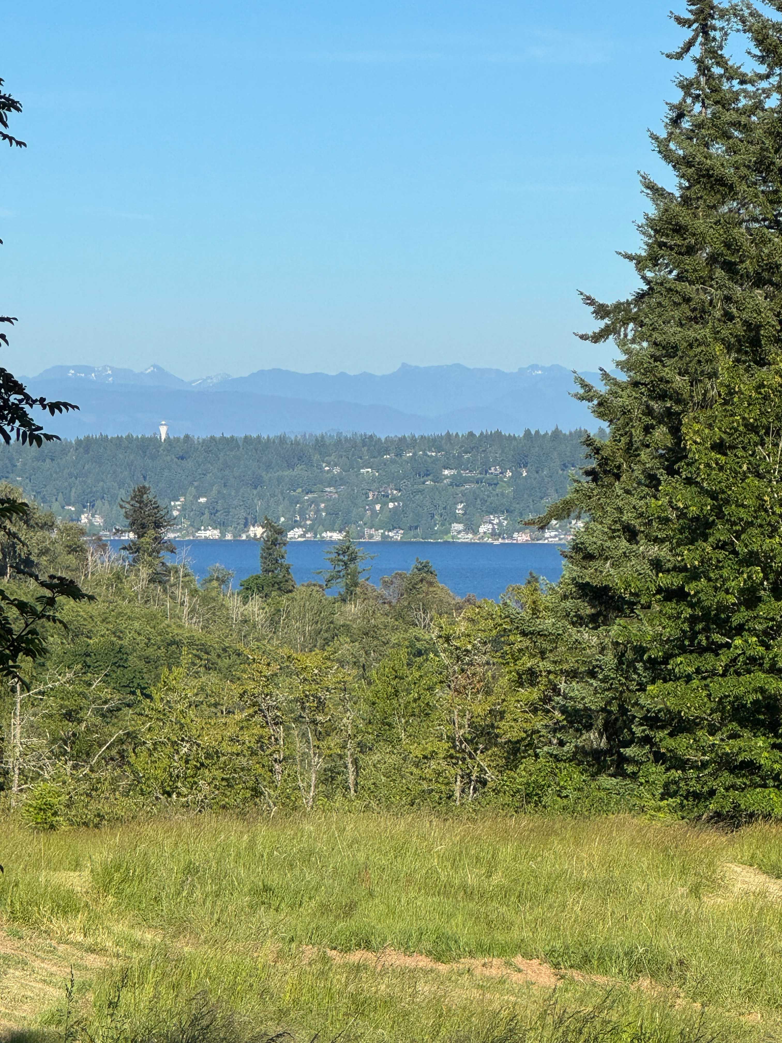 Steen Strawberry Farm 🍓