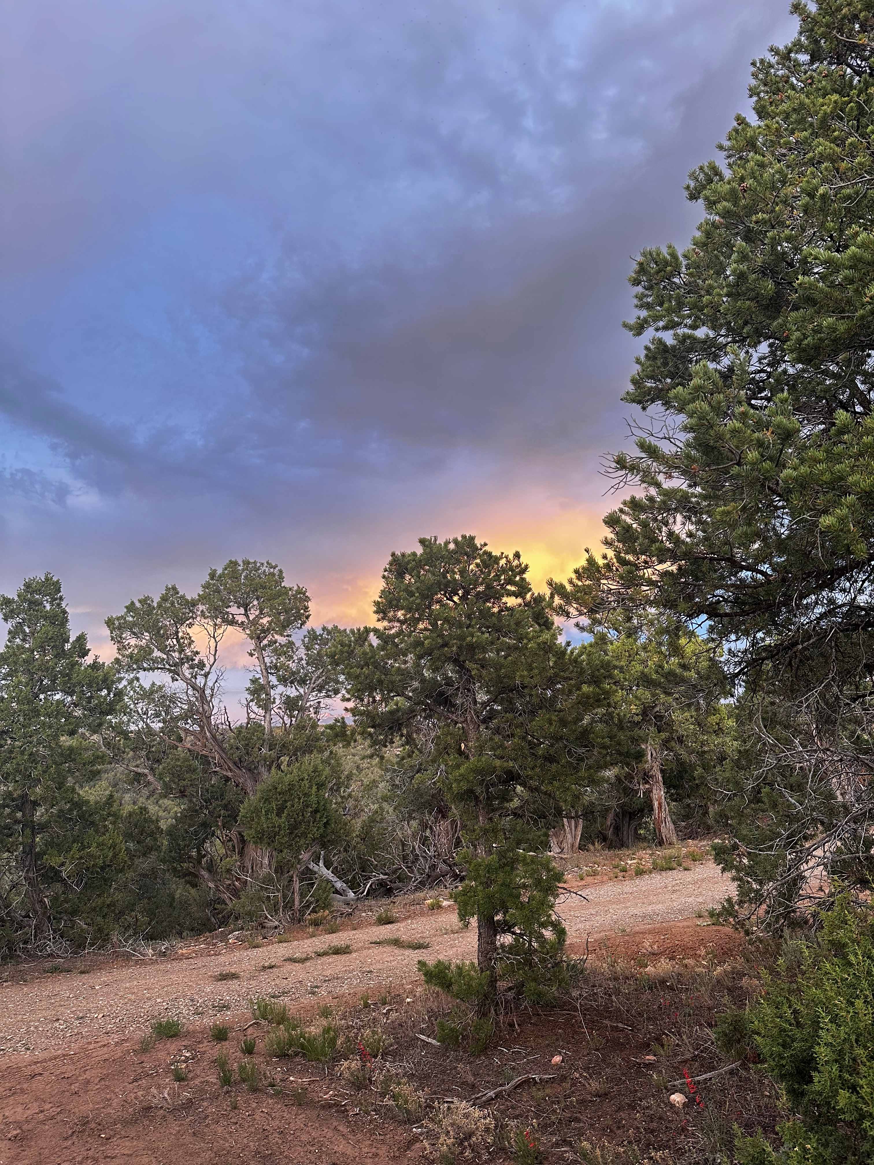 Zuma Bike Ranch & Camp in Cortez
