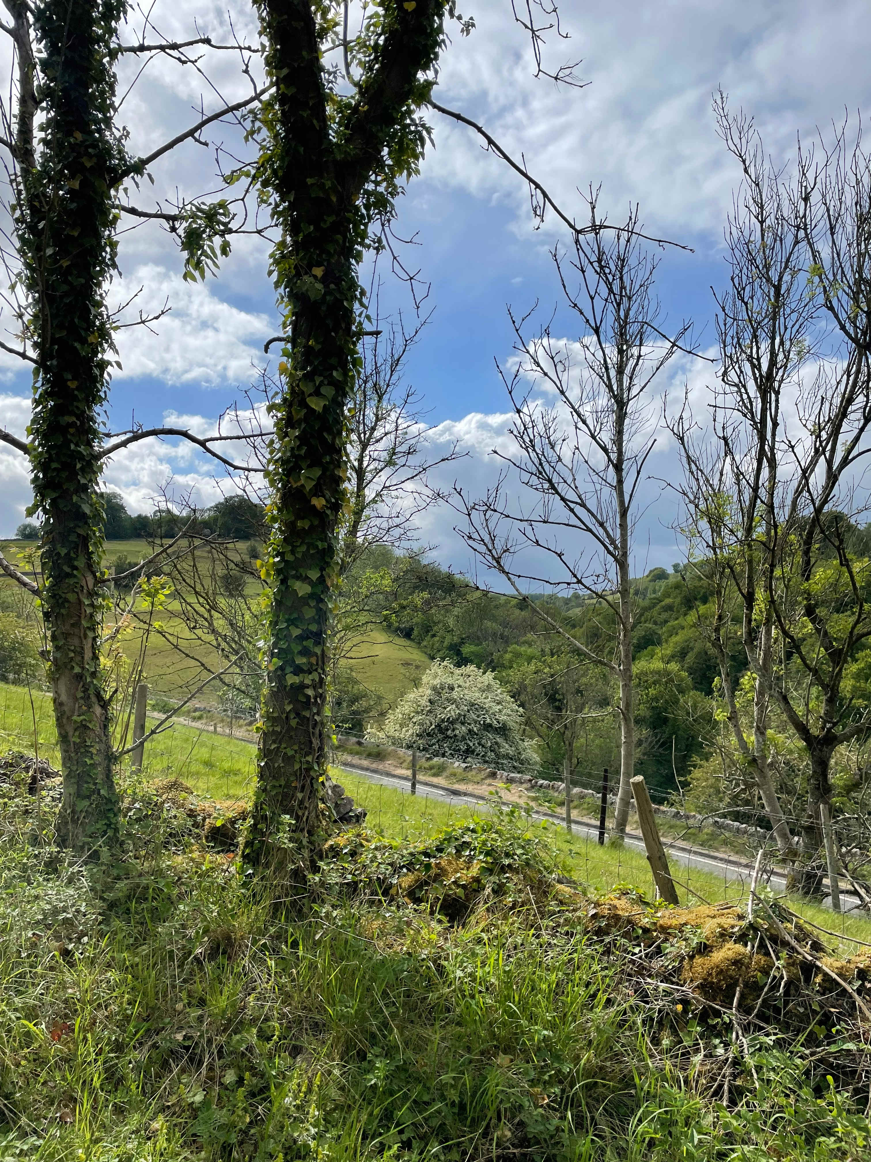 White Peak Camping