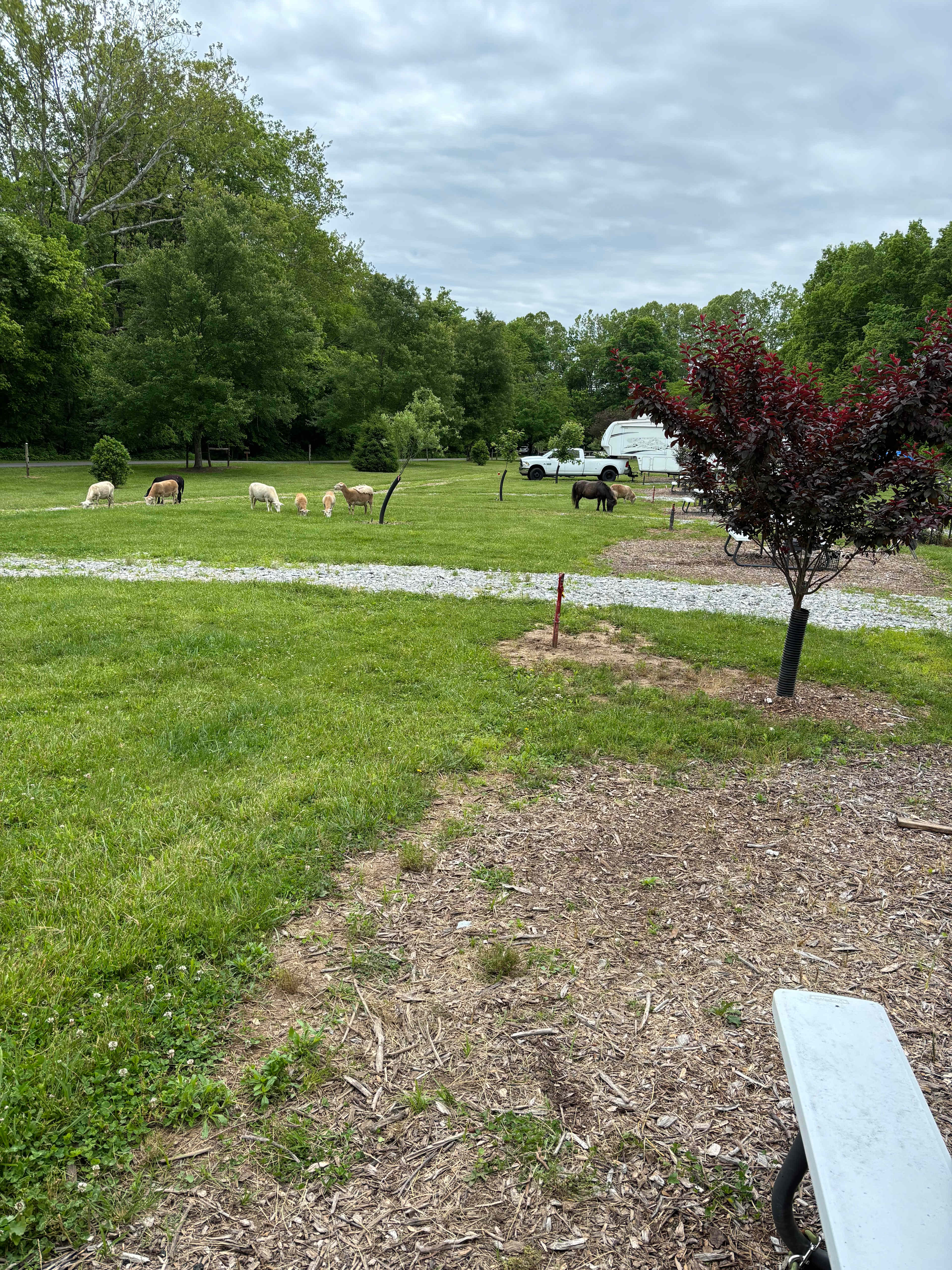 Hones Pointe Campground