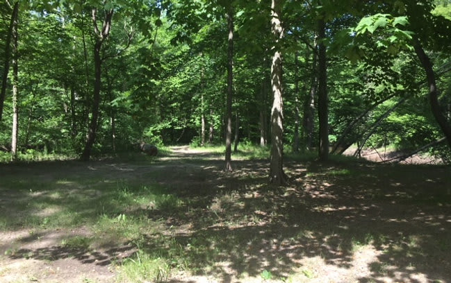 Black River Trails Campground