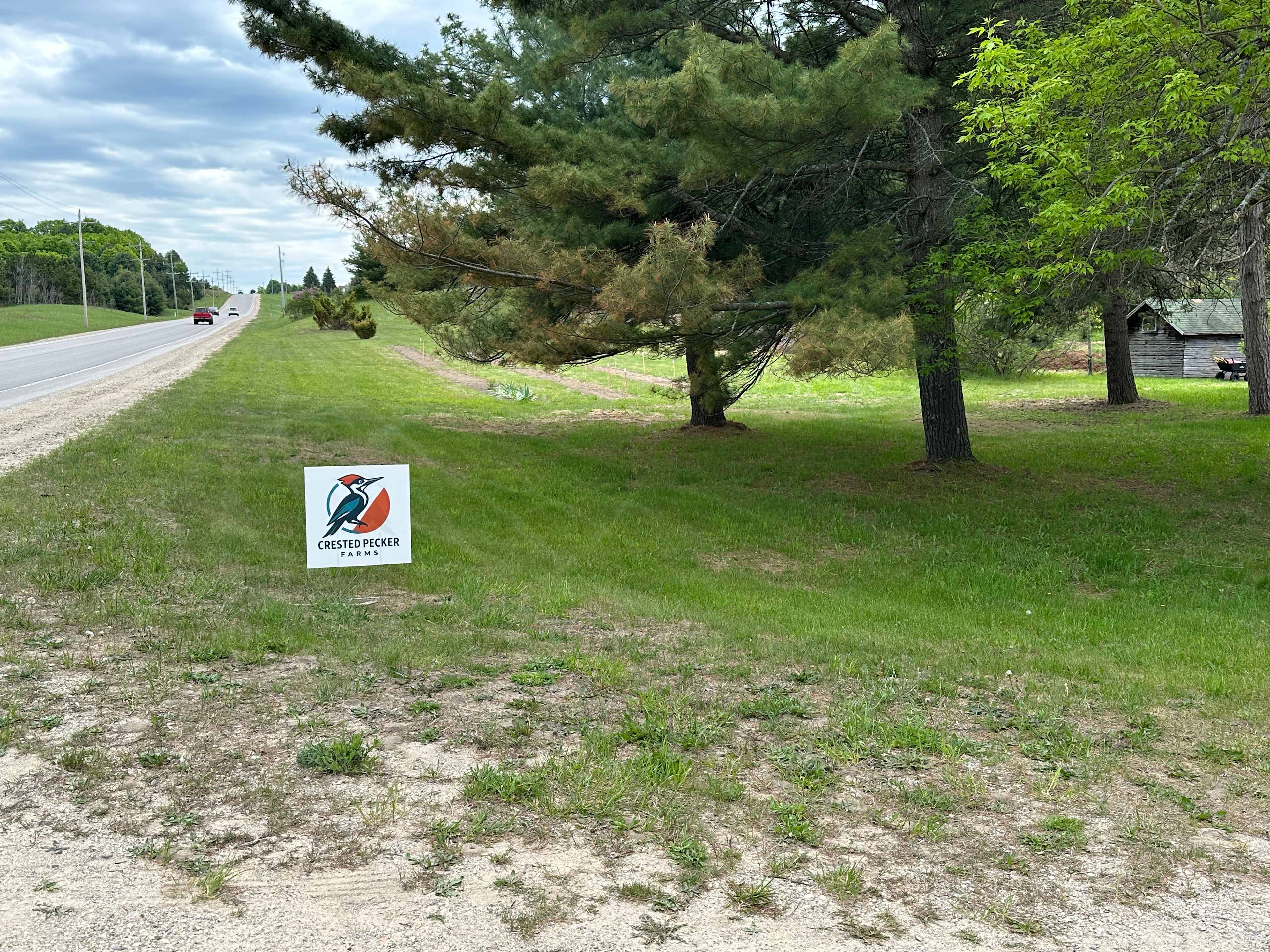 Torch Lake Or Elk Lake Base Camp