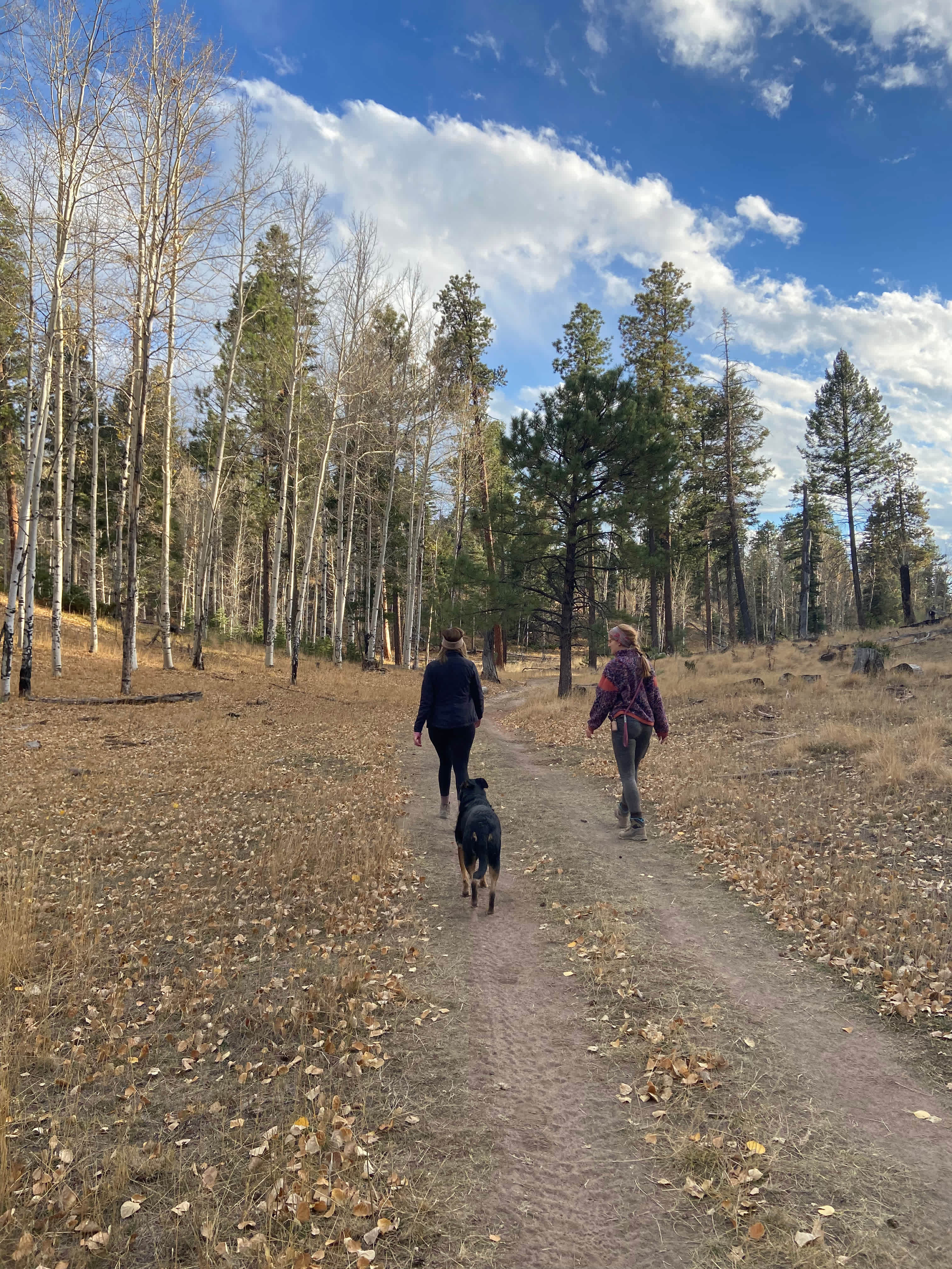 Jemez Mountains A-Frame Cabin