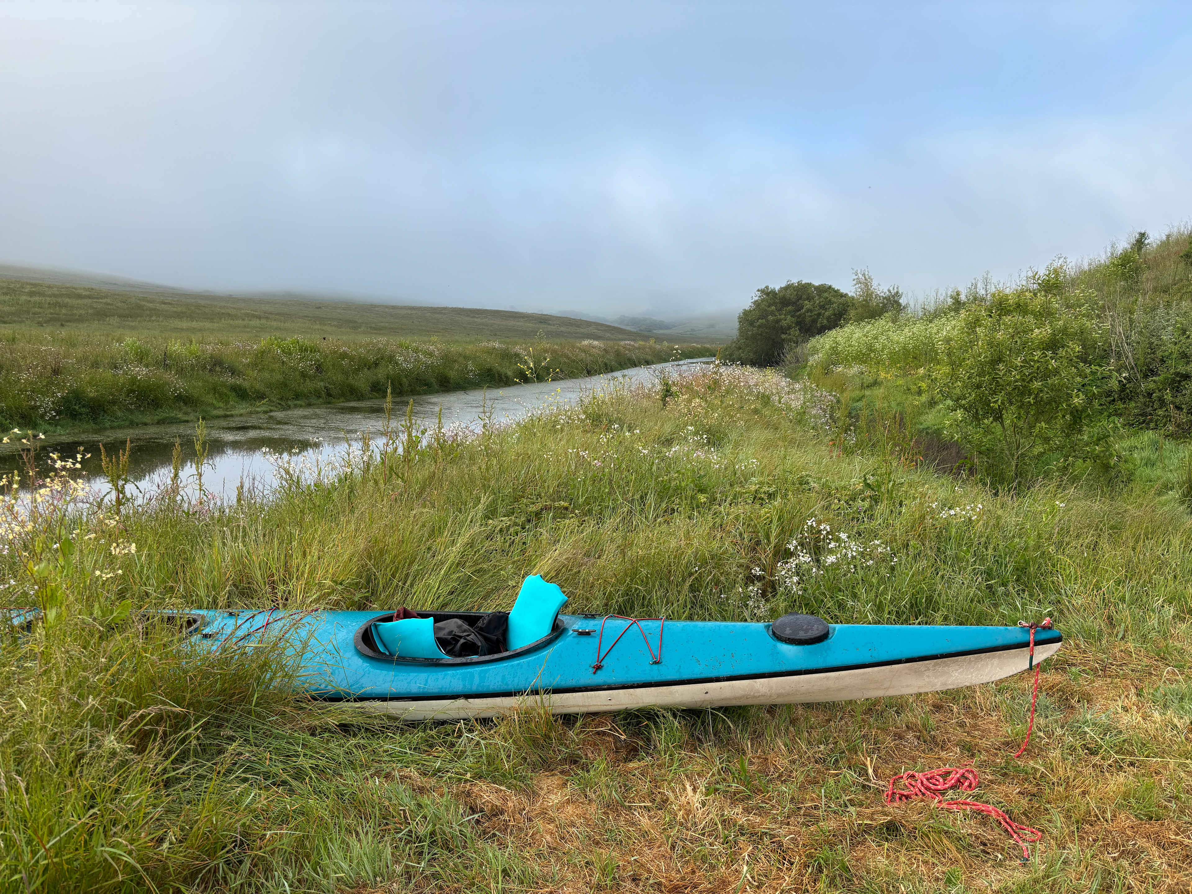 Estero San Antonio Wonderland