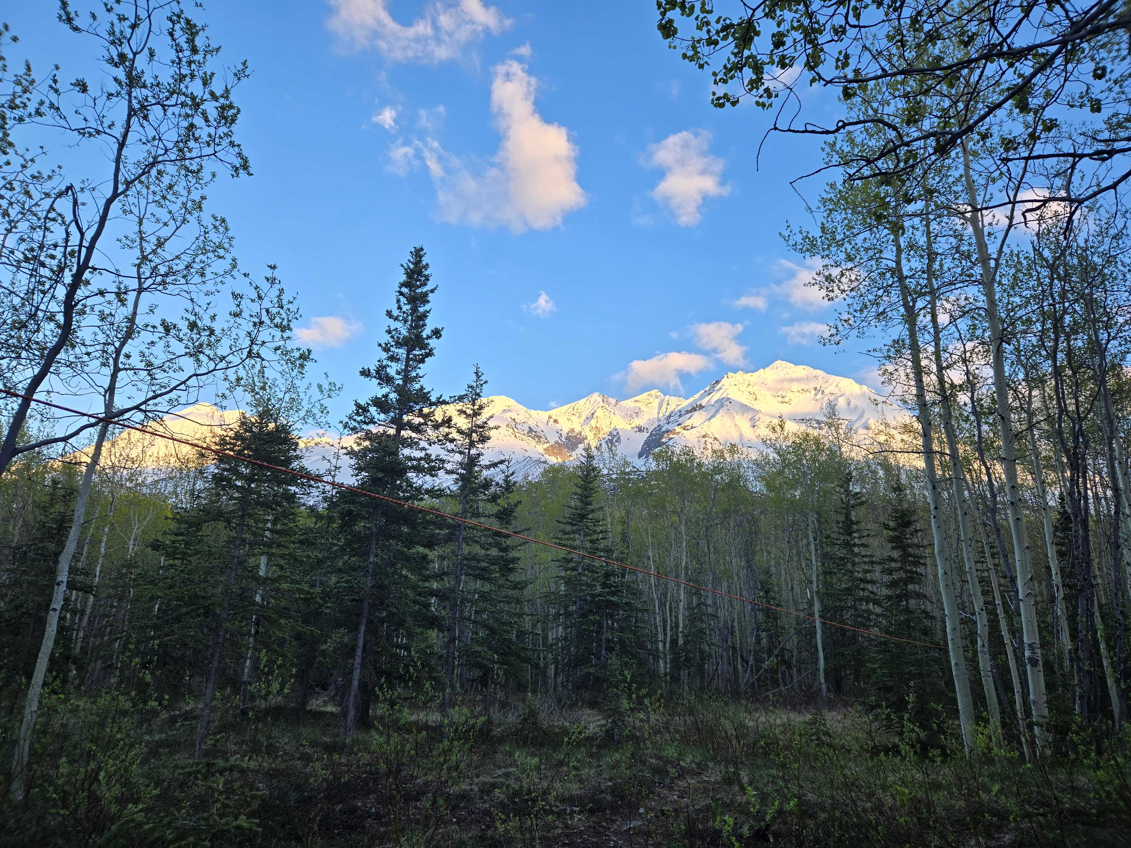 View from site