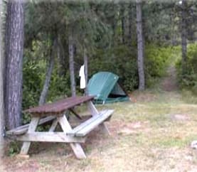 Rohr's Wilderness Tours