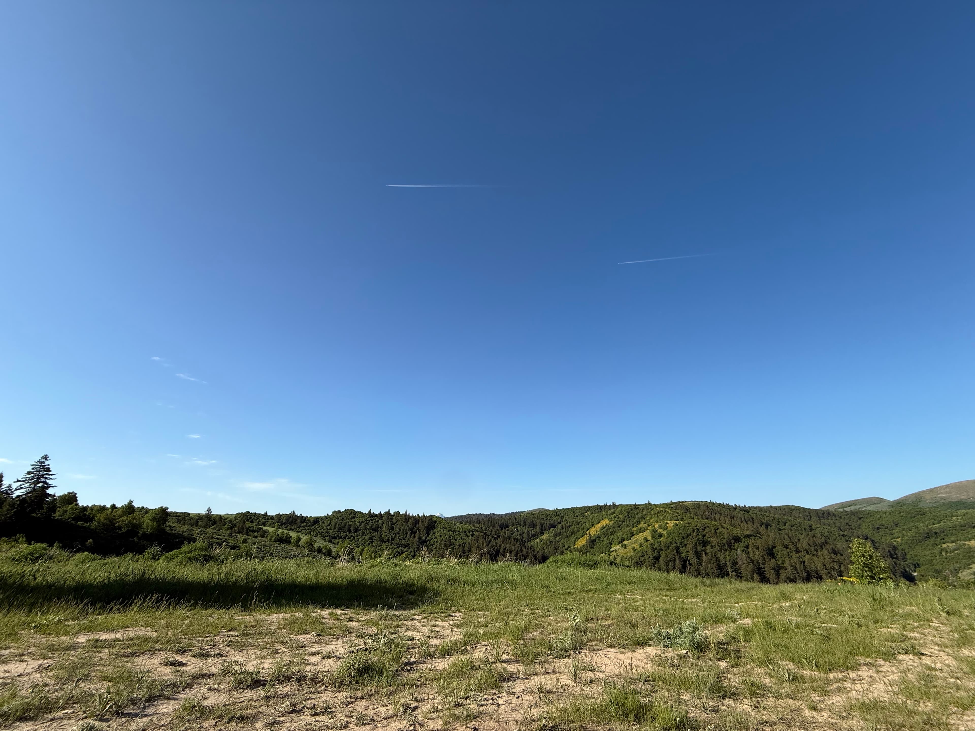 Moonlight Mine Acres
