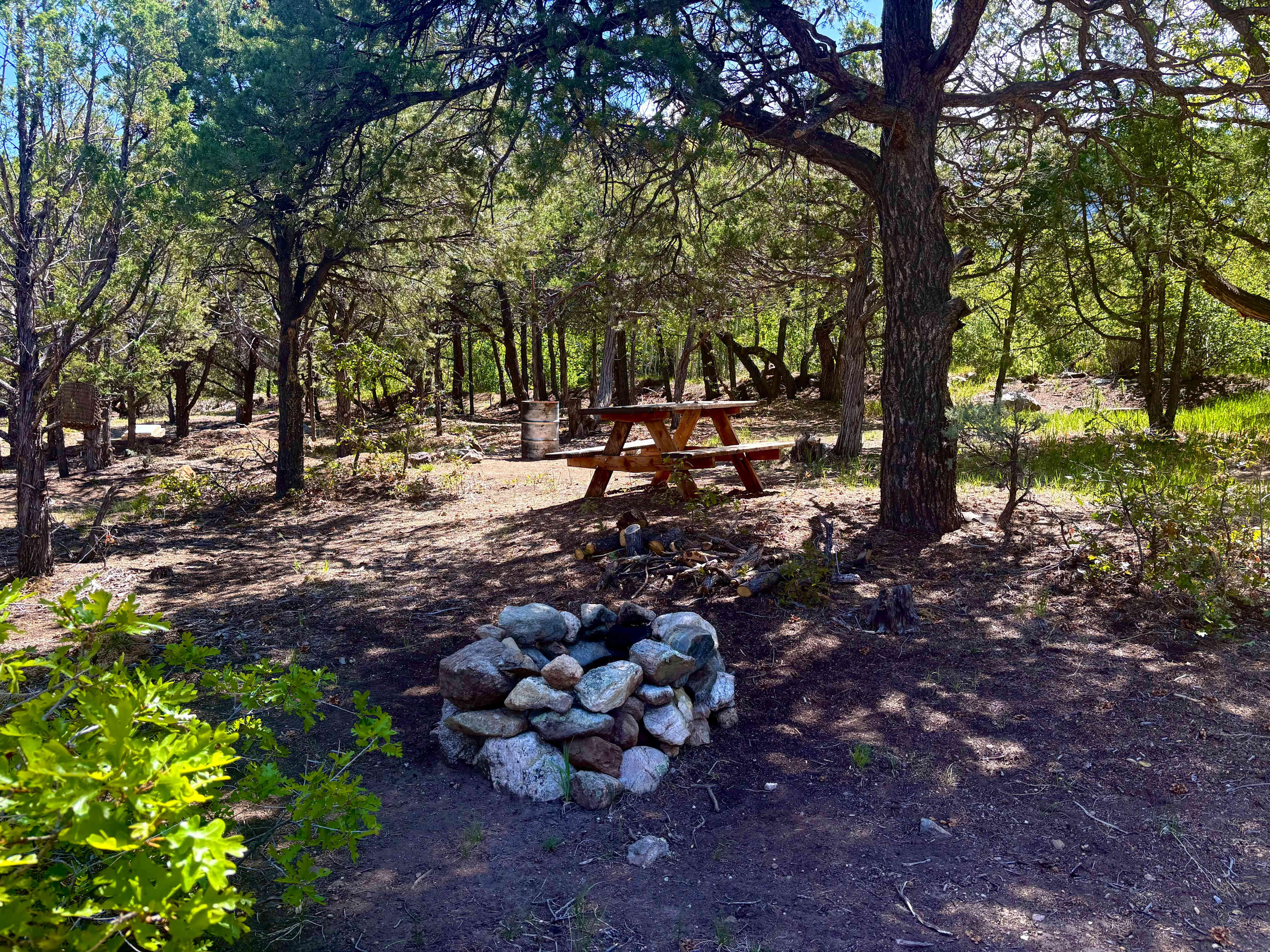 Picnic table under the trees, between the the fire pit and the little river