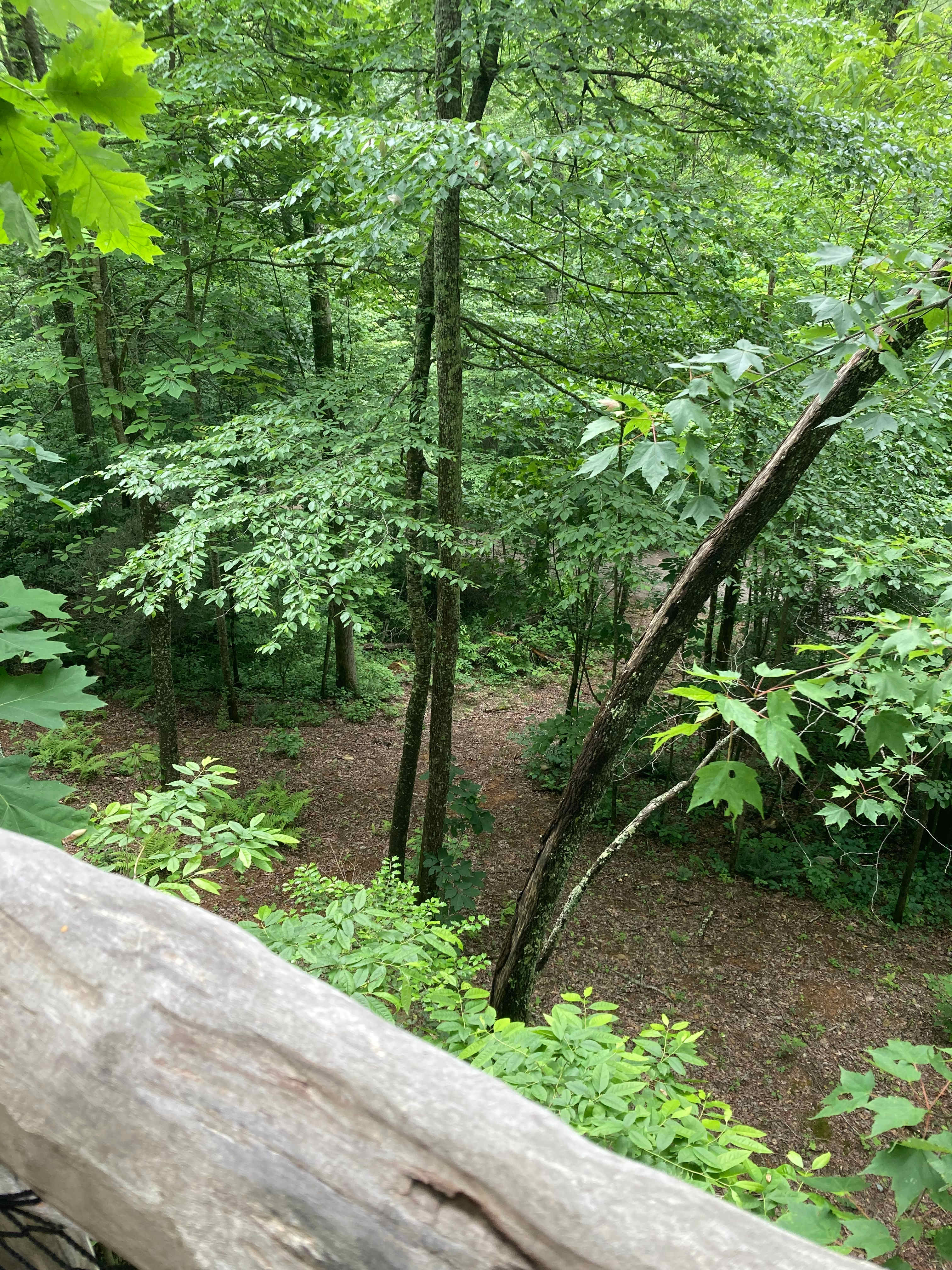 Cold Spring Basecamp