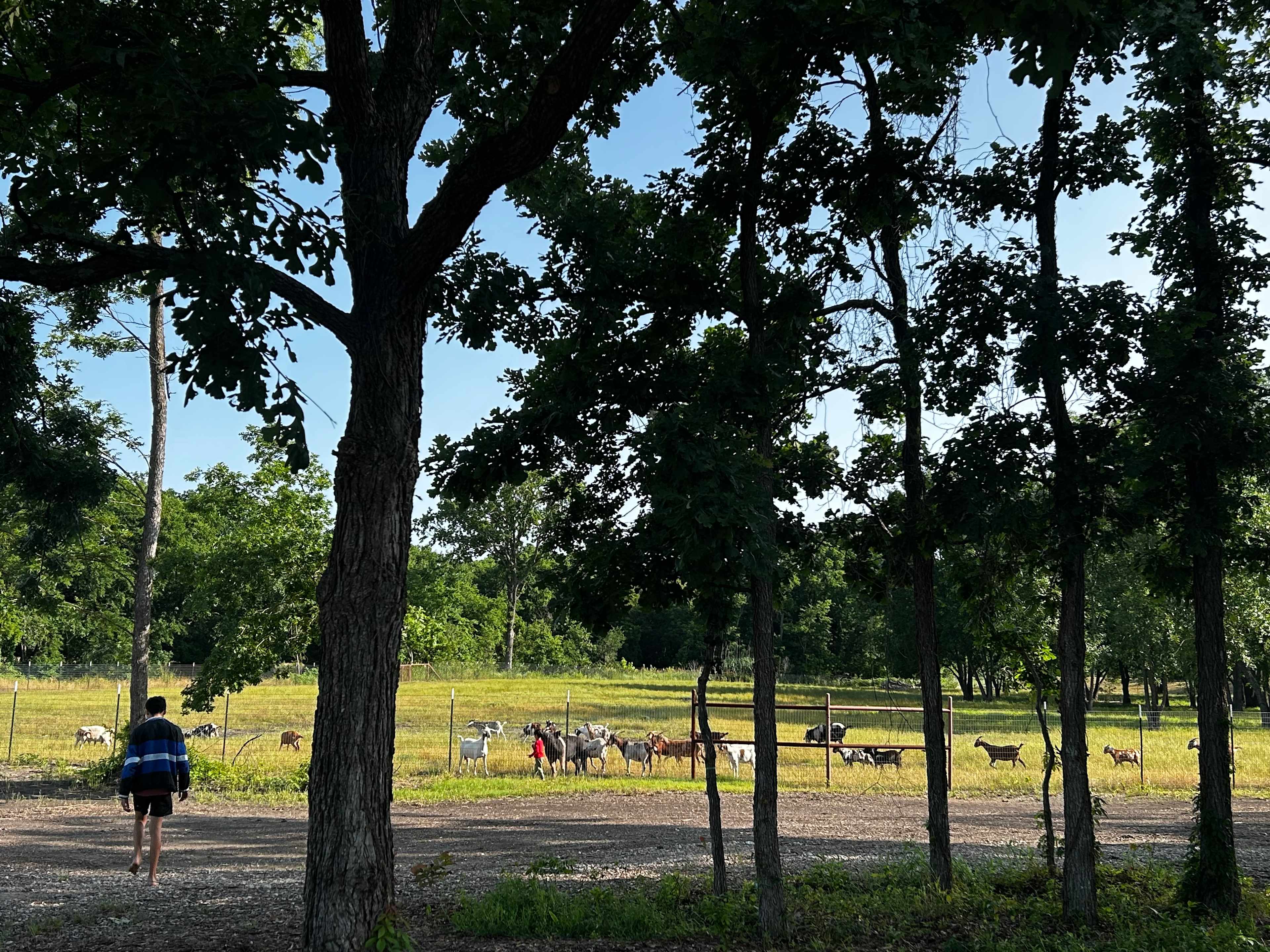 The PARK at Brushy Creek