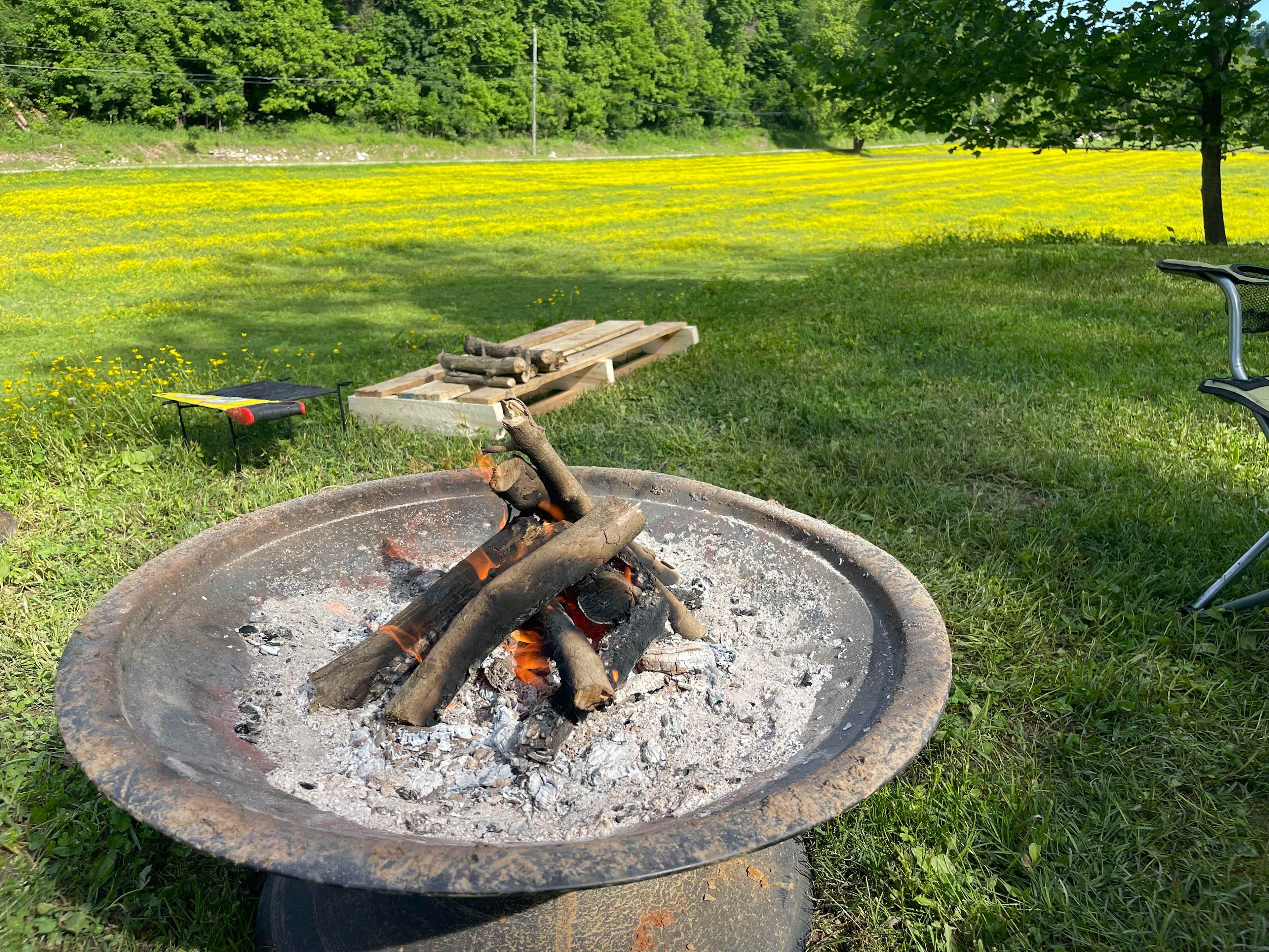 Wildcat Creek Farm in Tyrone