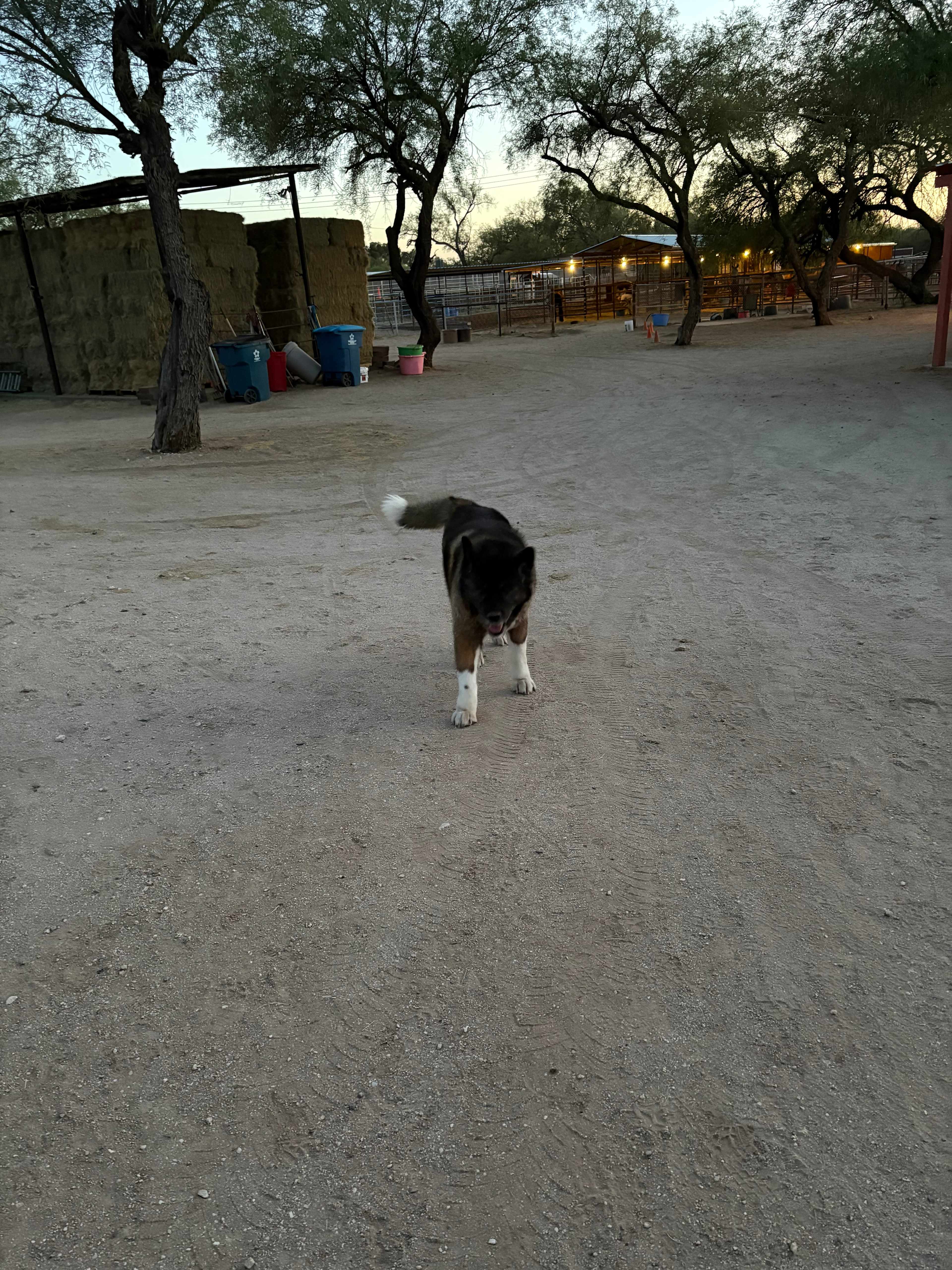 La Hacienda Chuparosa
