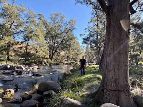 Glenroy Cottages and Camping