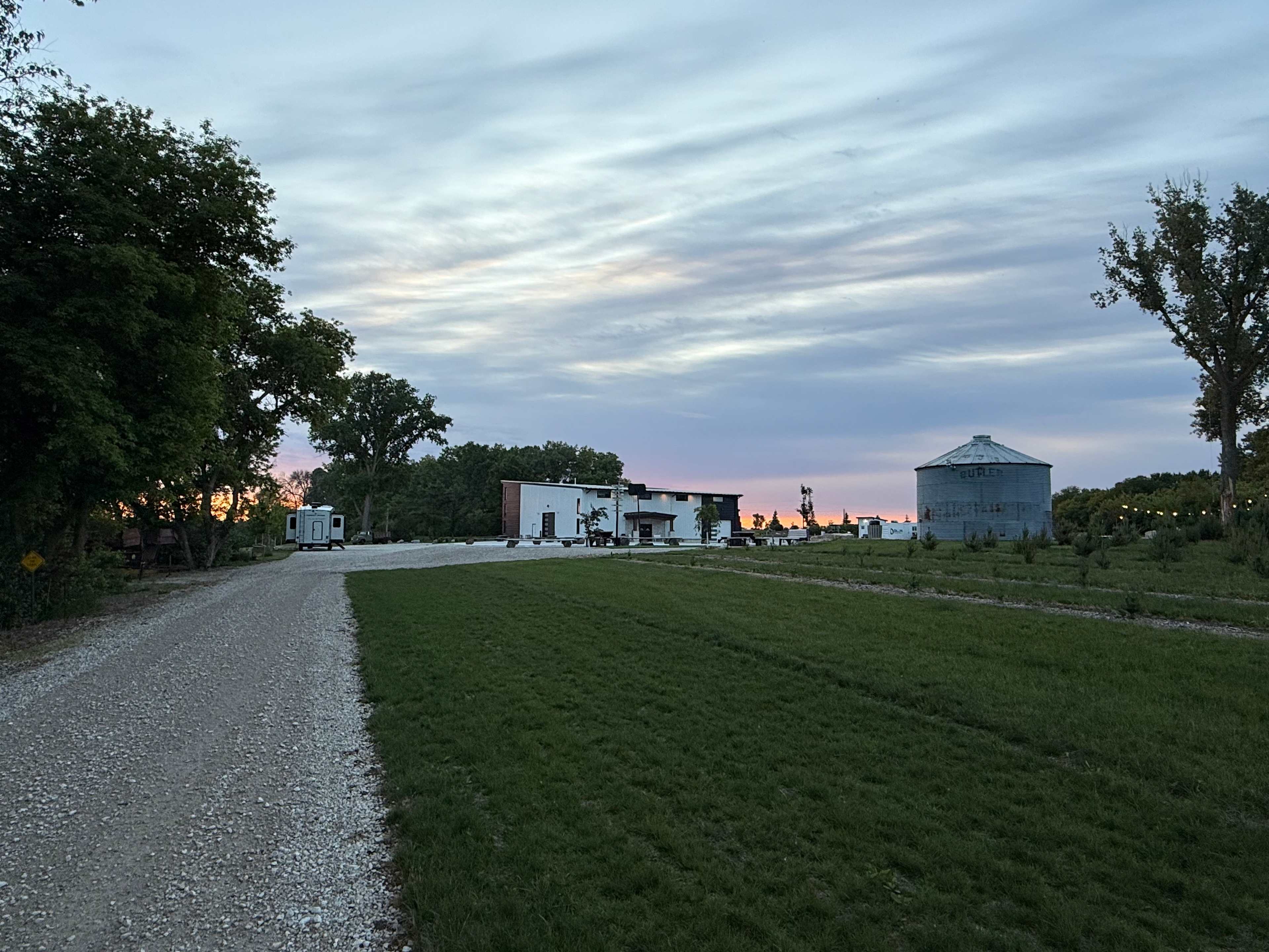 DILLON TREE FARM