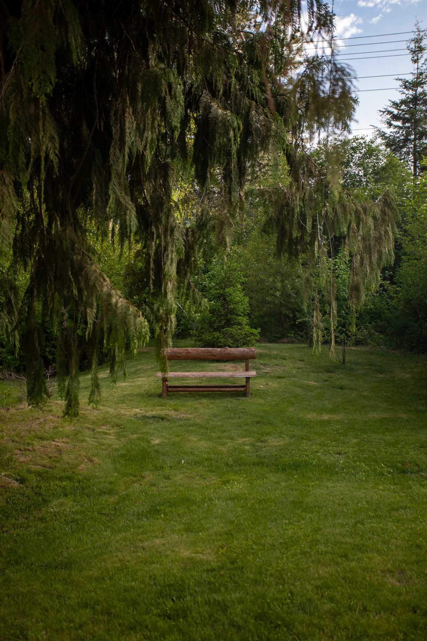 Corner with a bench to hang out