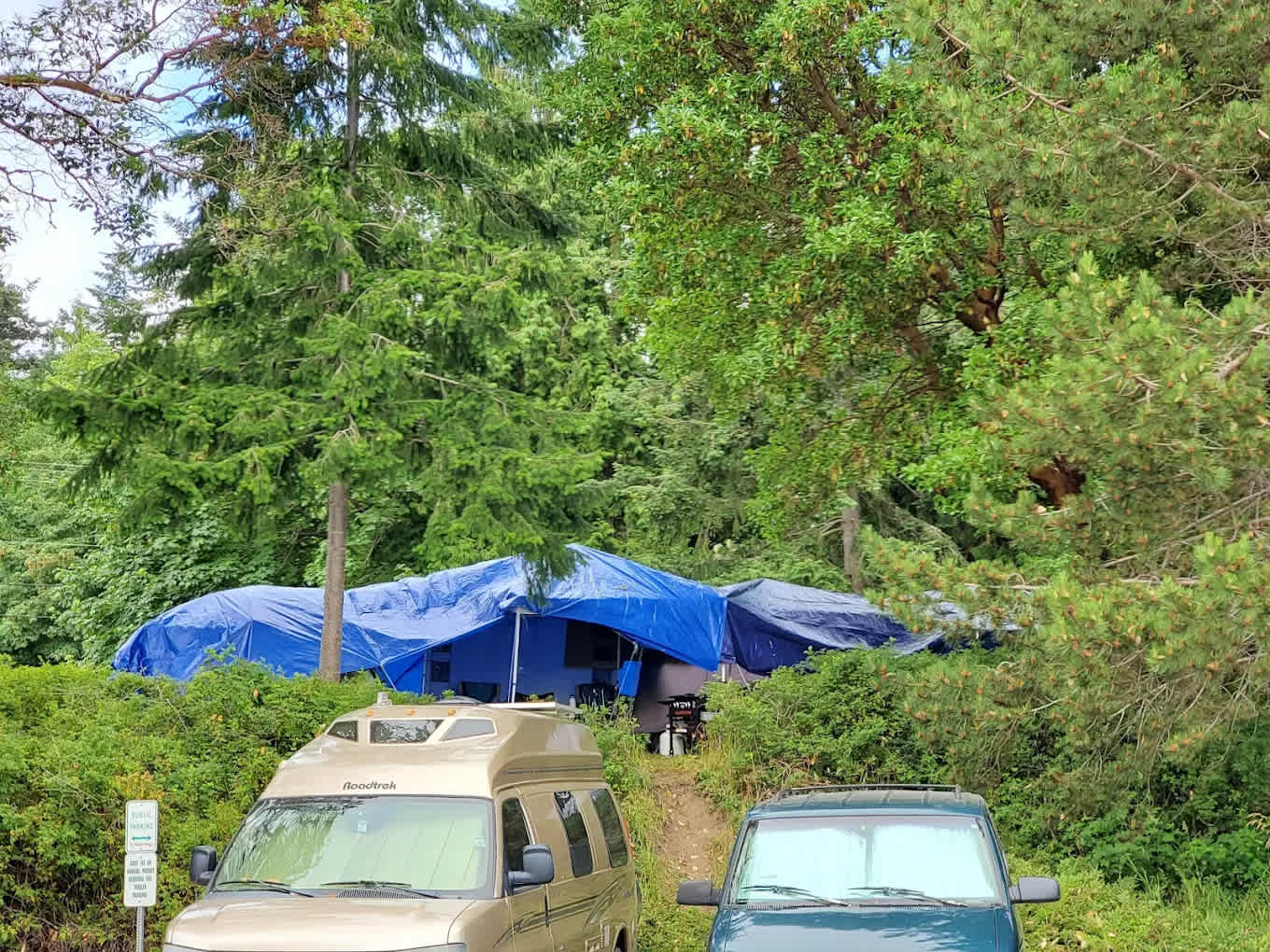 Picture of the site