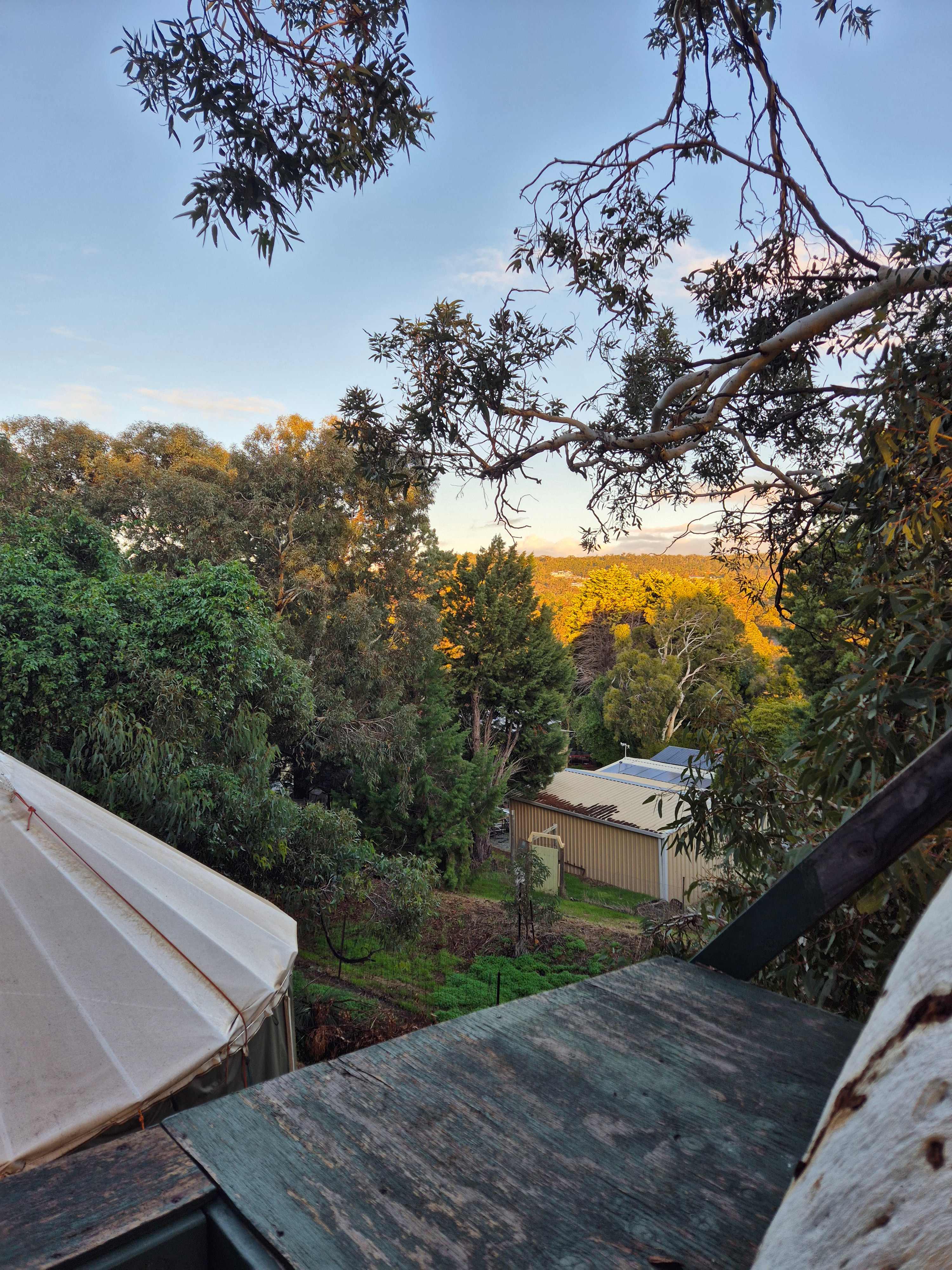 Yurt Abundance in Perth Hills
