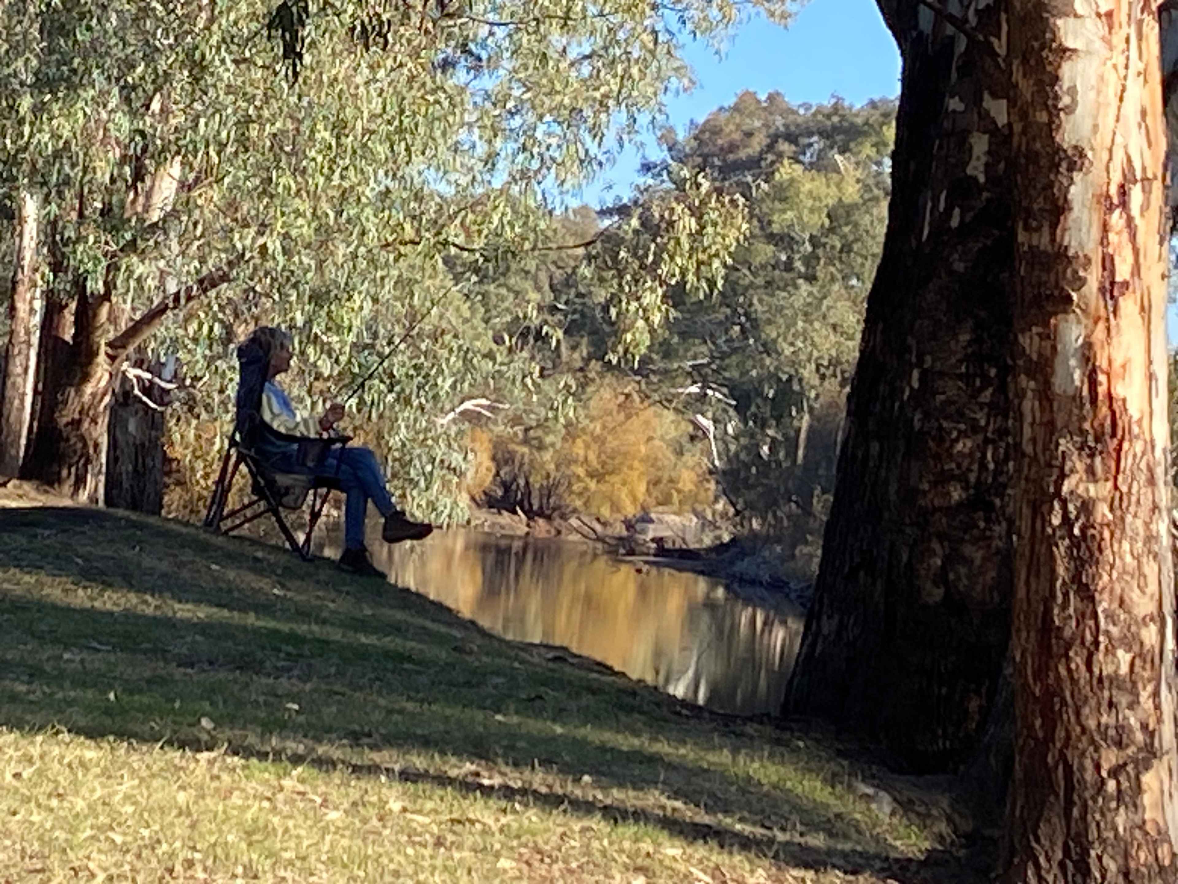 Bahwidgee on Tumut River