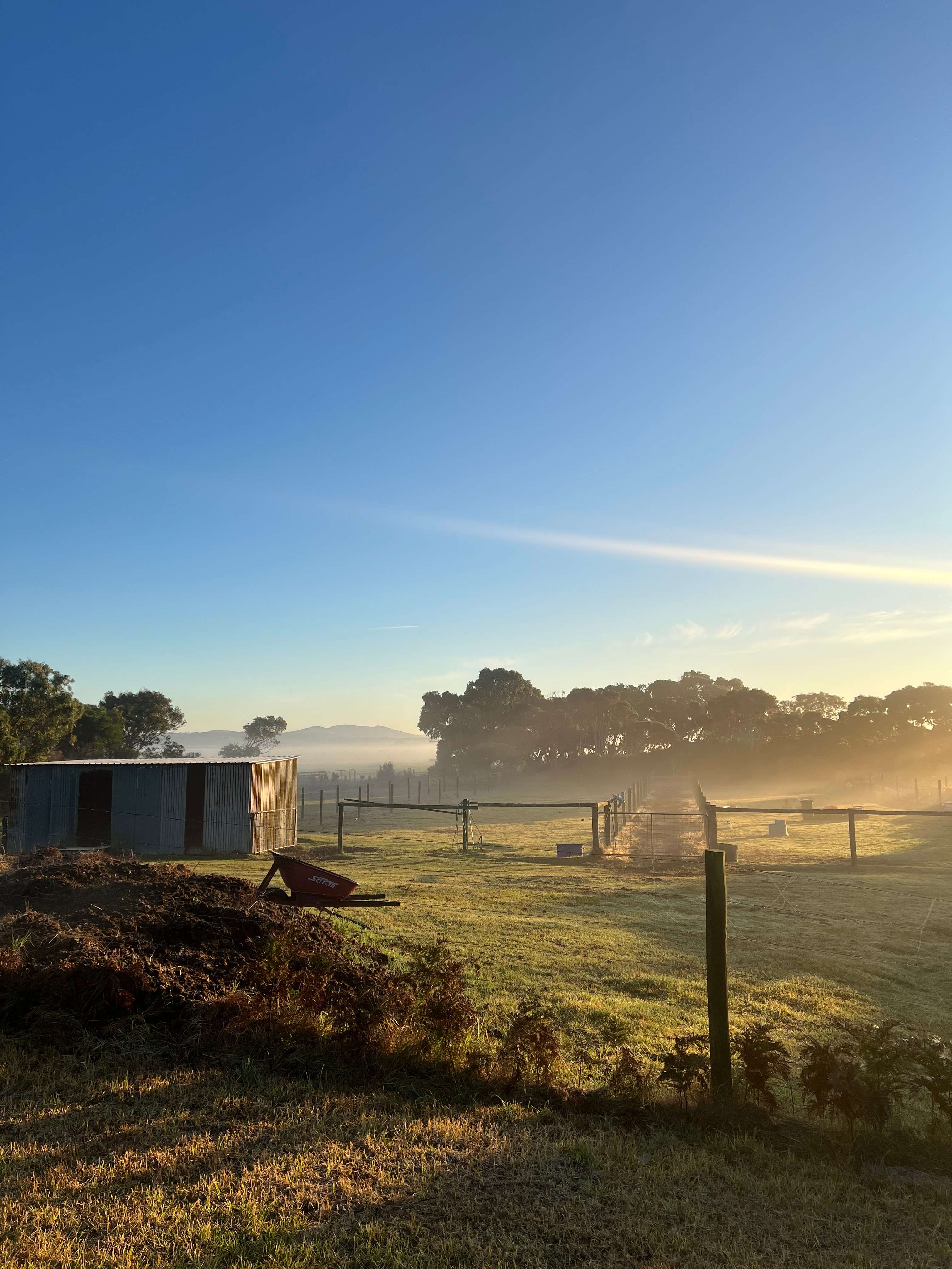 Sandy Point Farm Camp