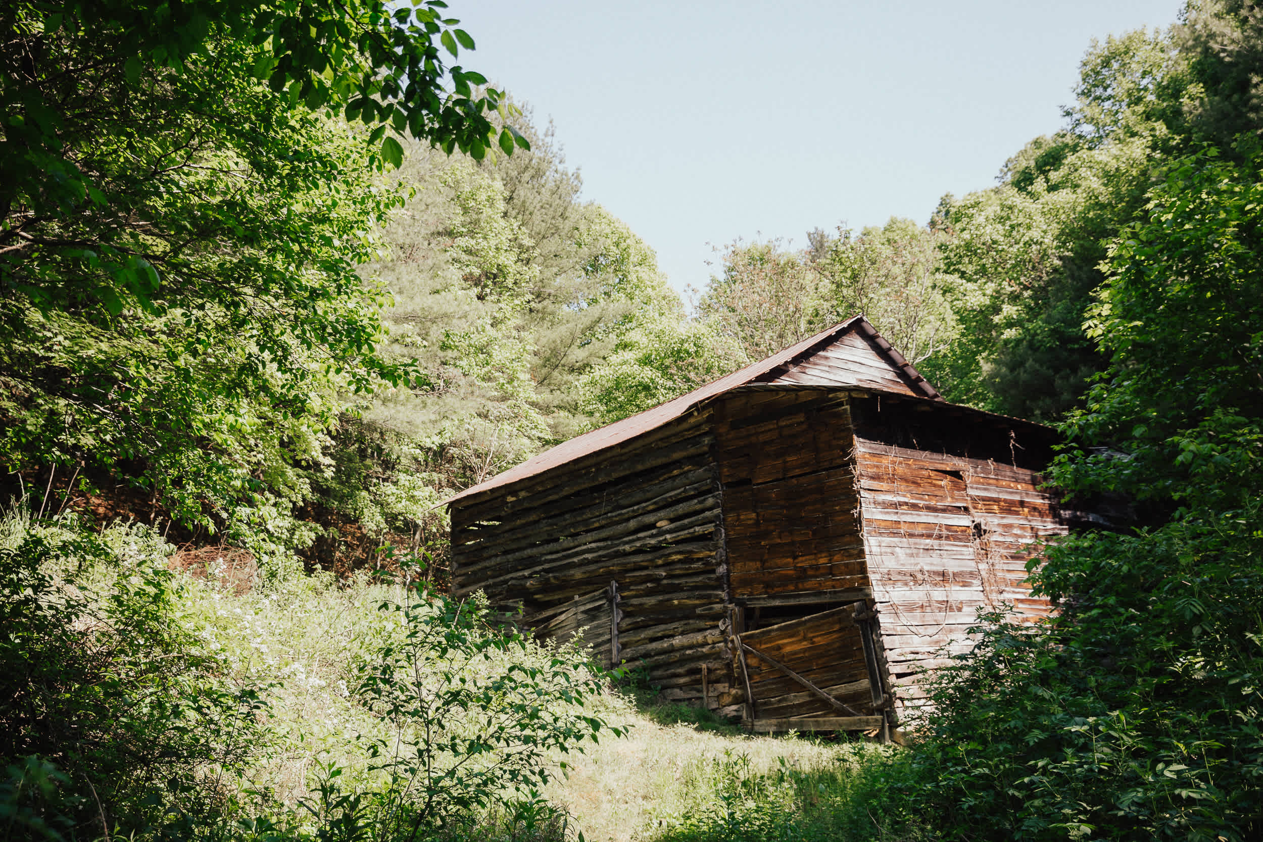 Old animal barn now used for sheep