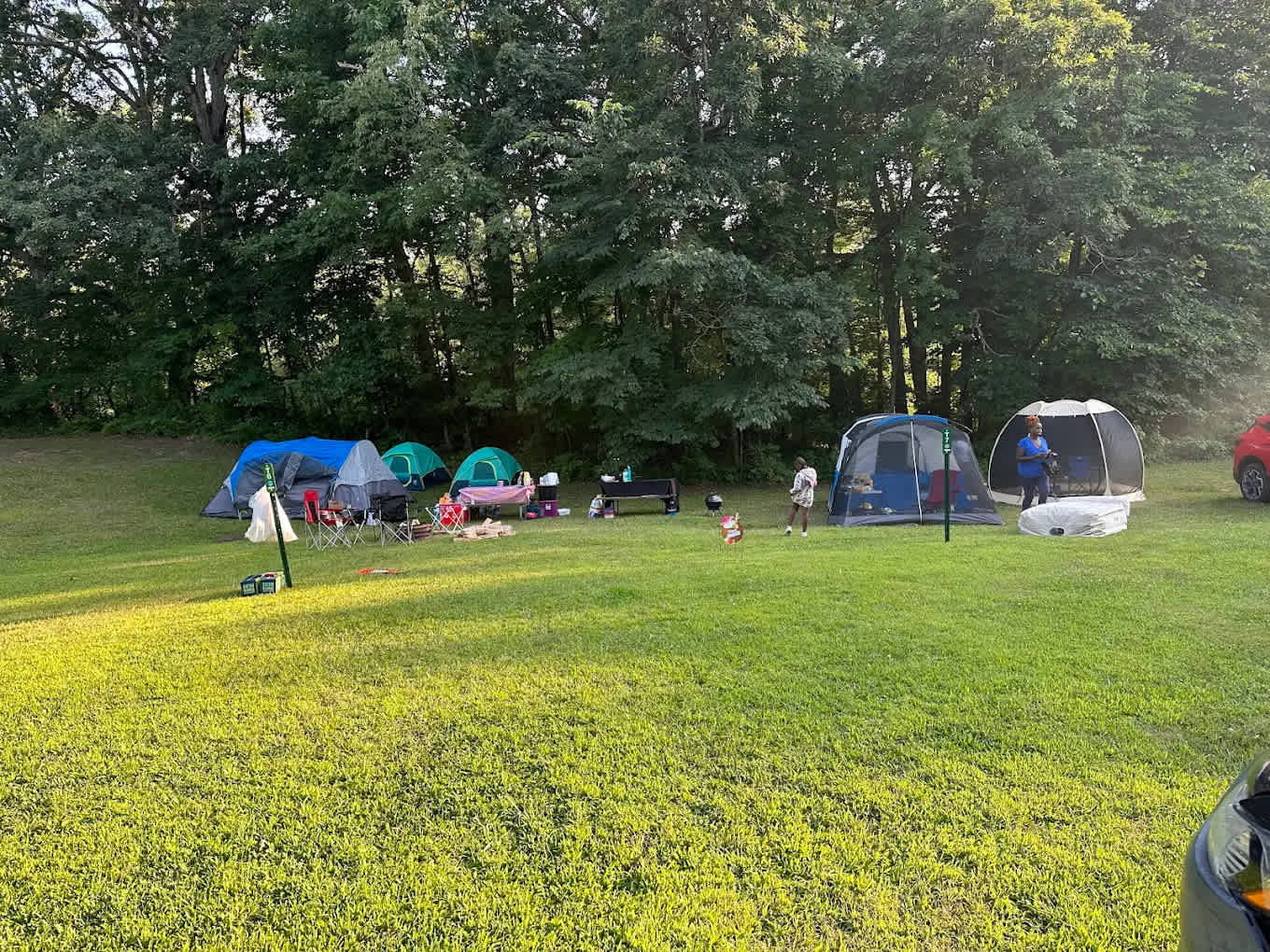 Picture of the site