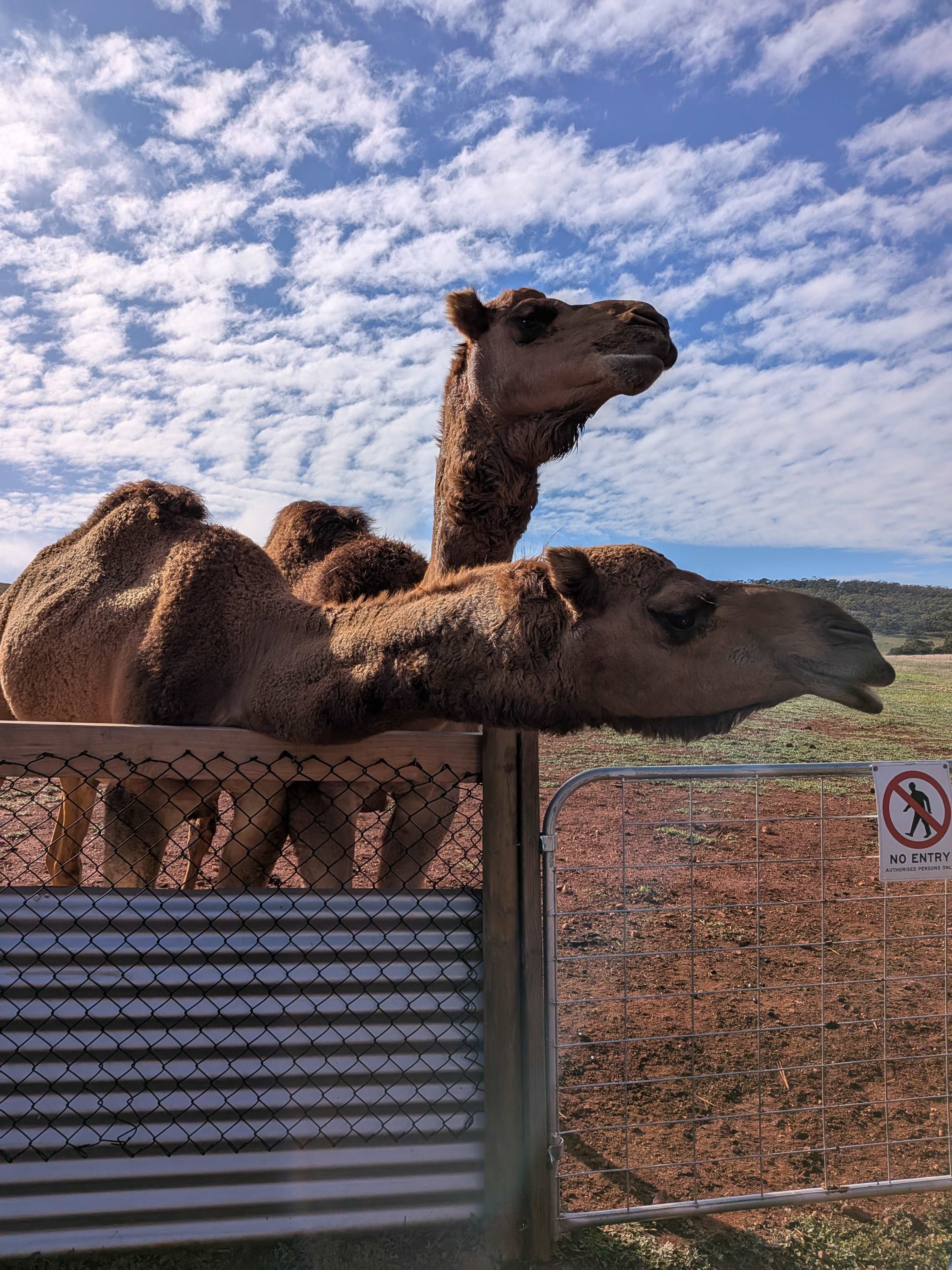 Sandalwood Downs  Farm Stay Toodyay