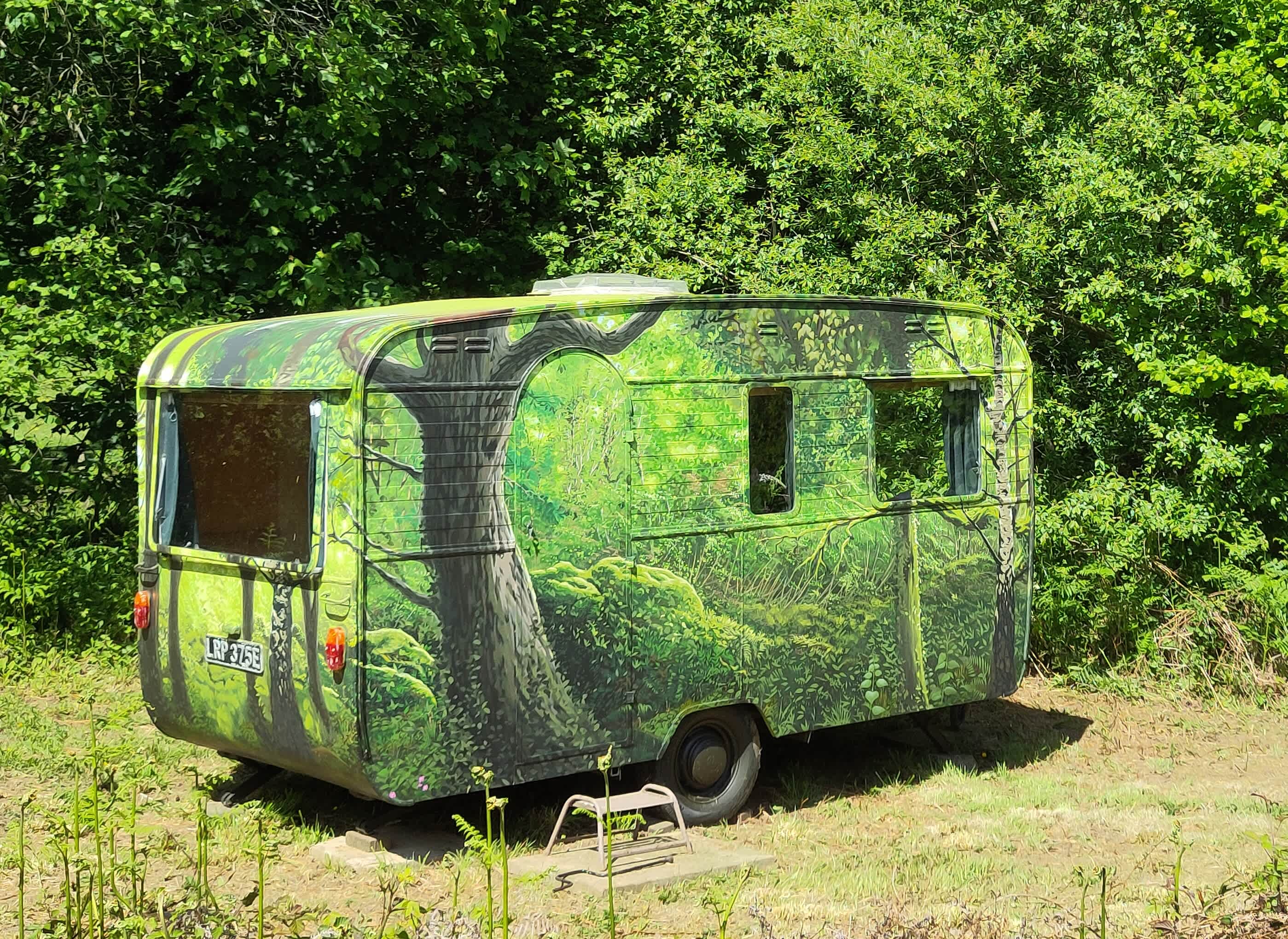 Gorgeous secluded woodland caravan