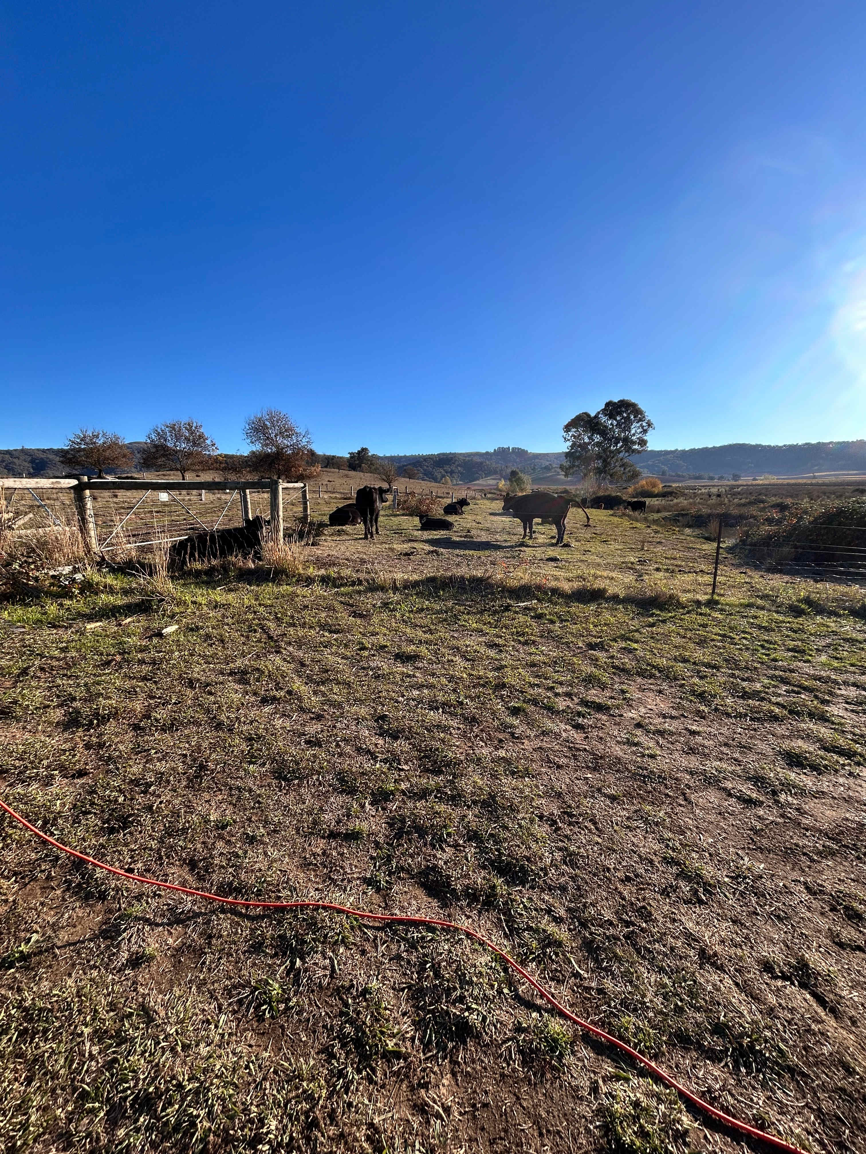 Glenwaters Farmstays