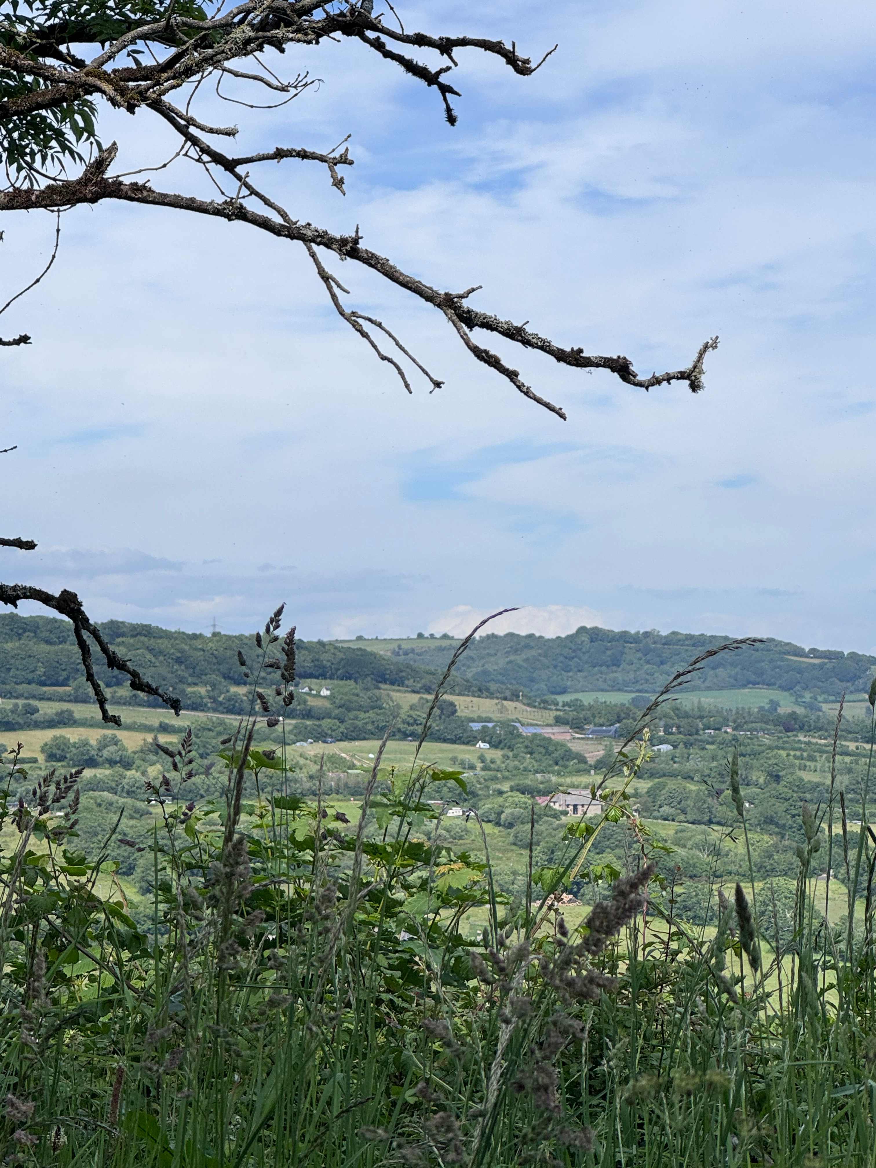 Brig's Farm
