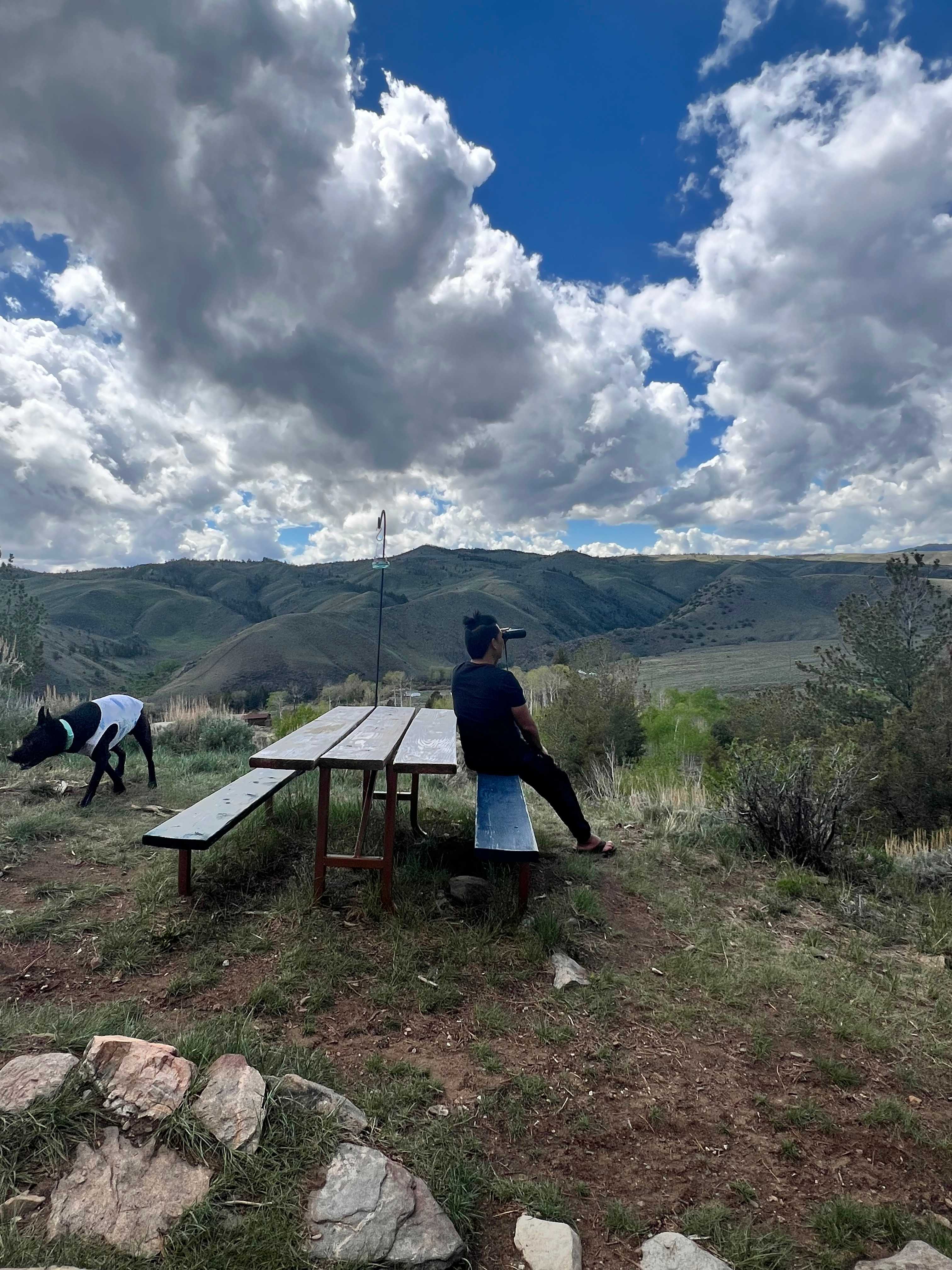 Little Cabin with a view