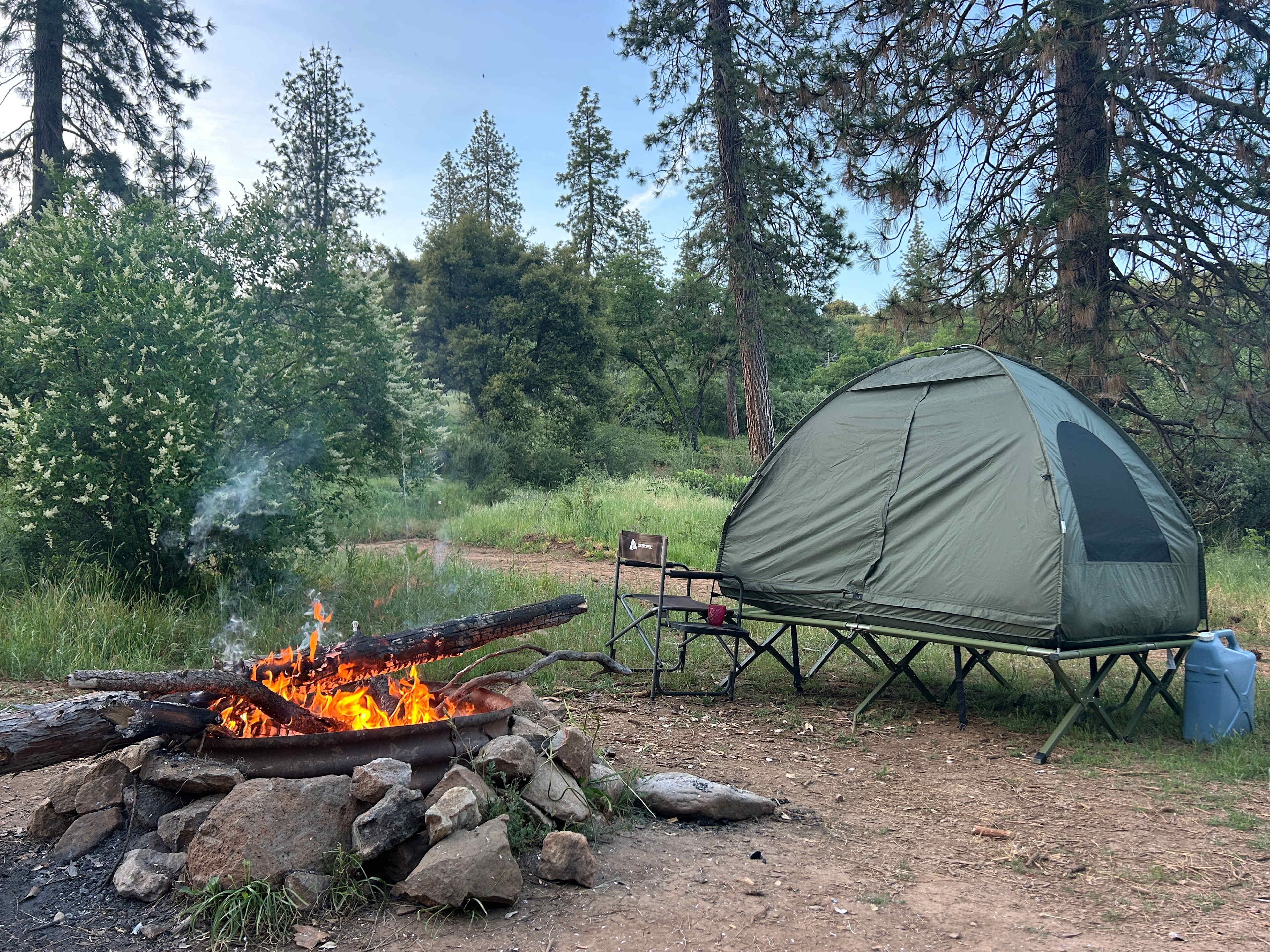Thistledew Ranch