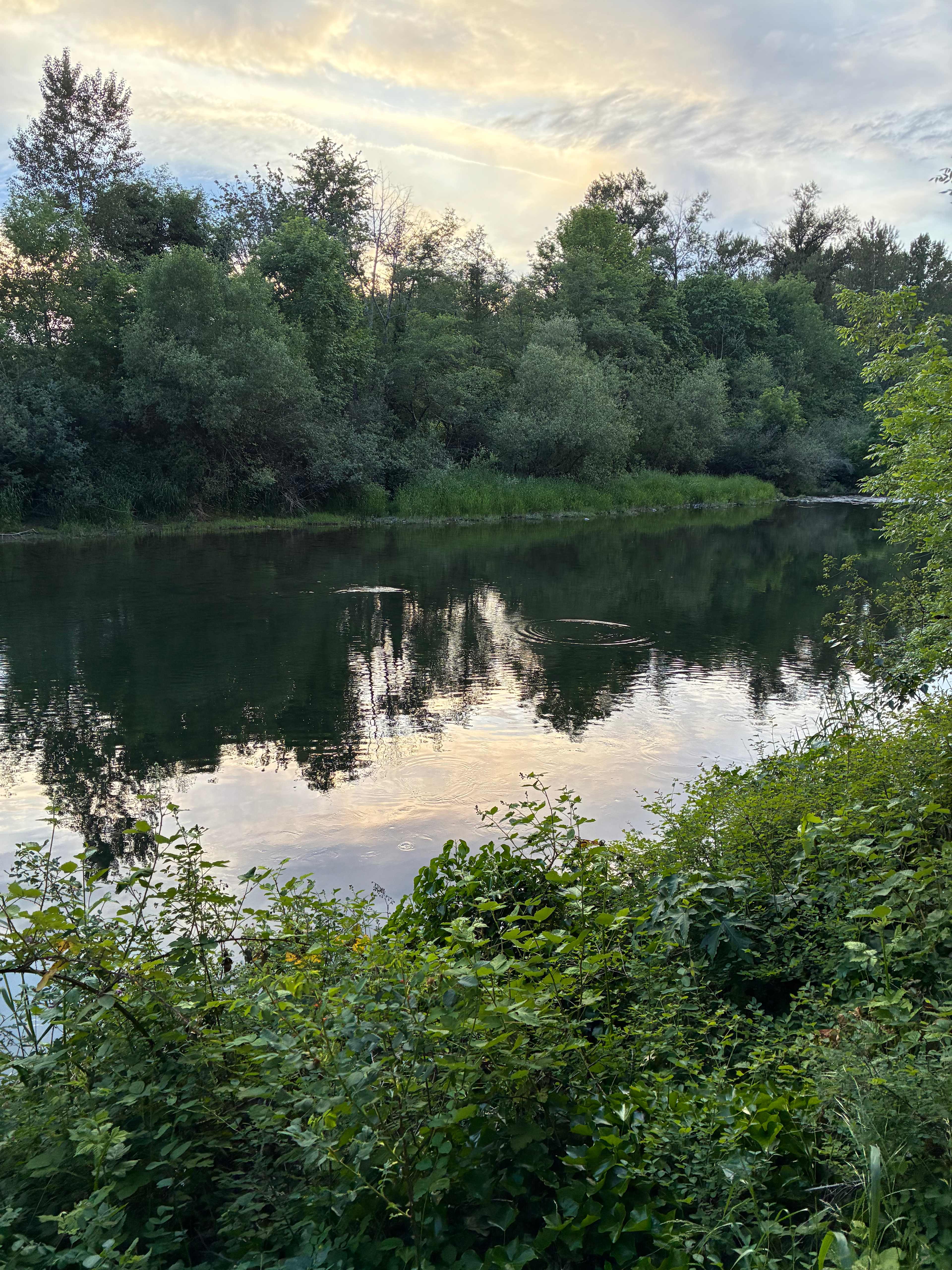 Molalla Ripple