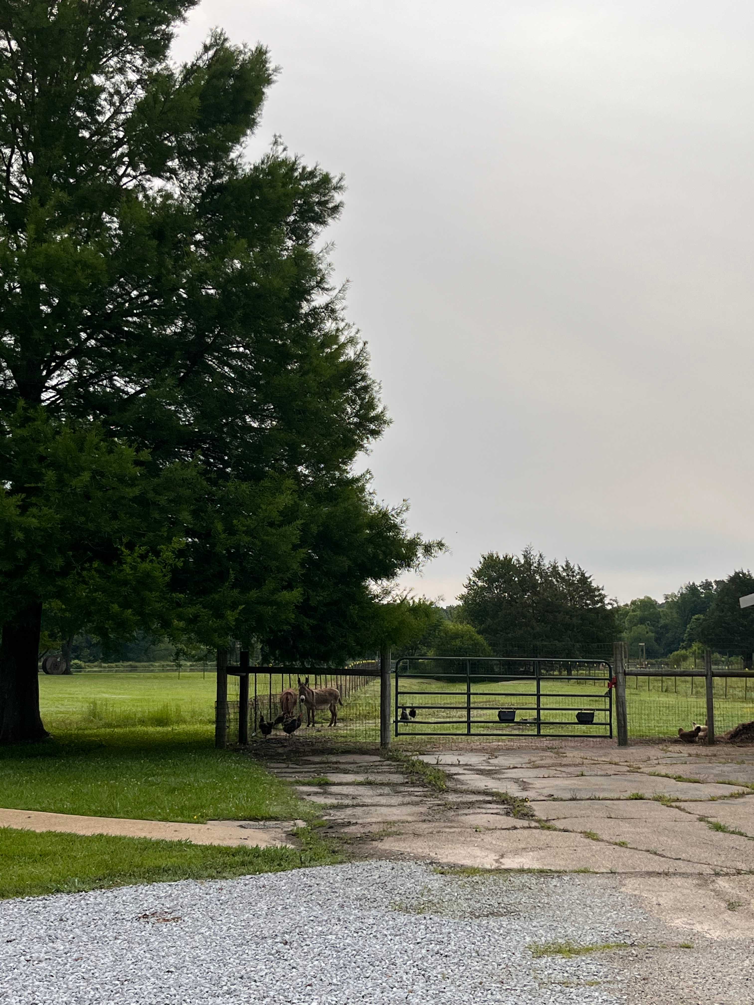 Moon Lake Farm - Camp, Fish, Relax