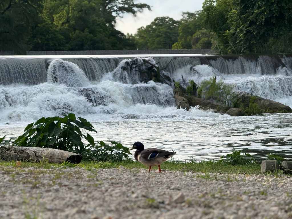 The Best Dam Spot