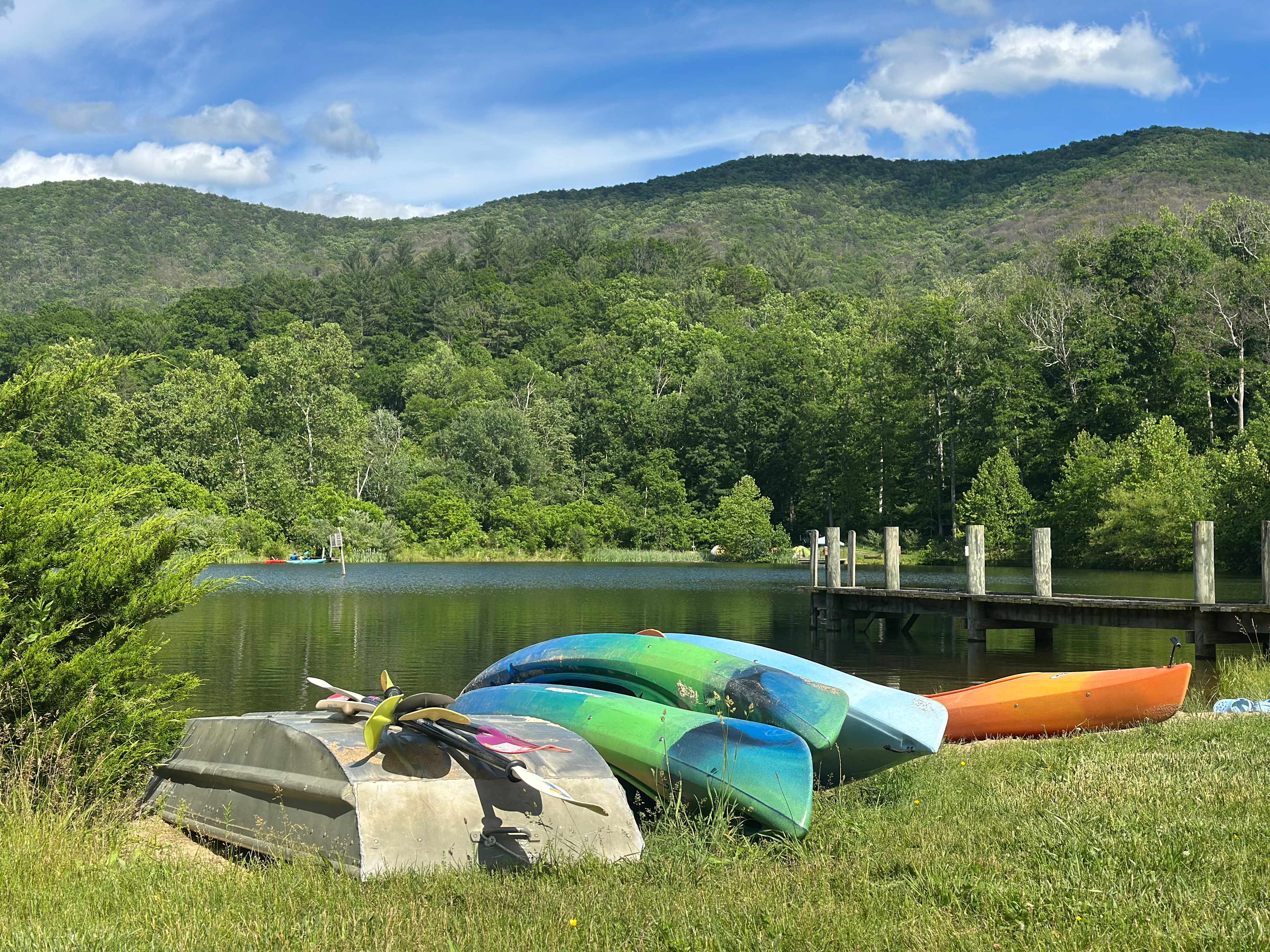 The lake 