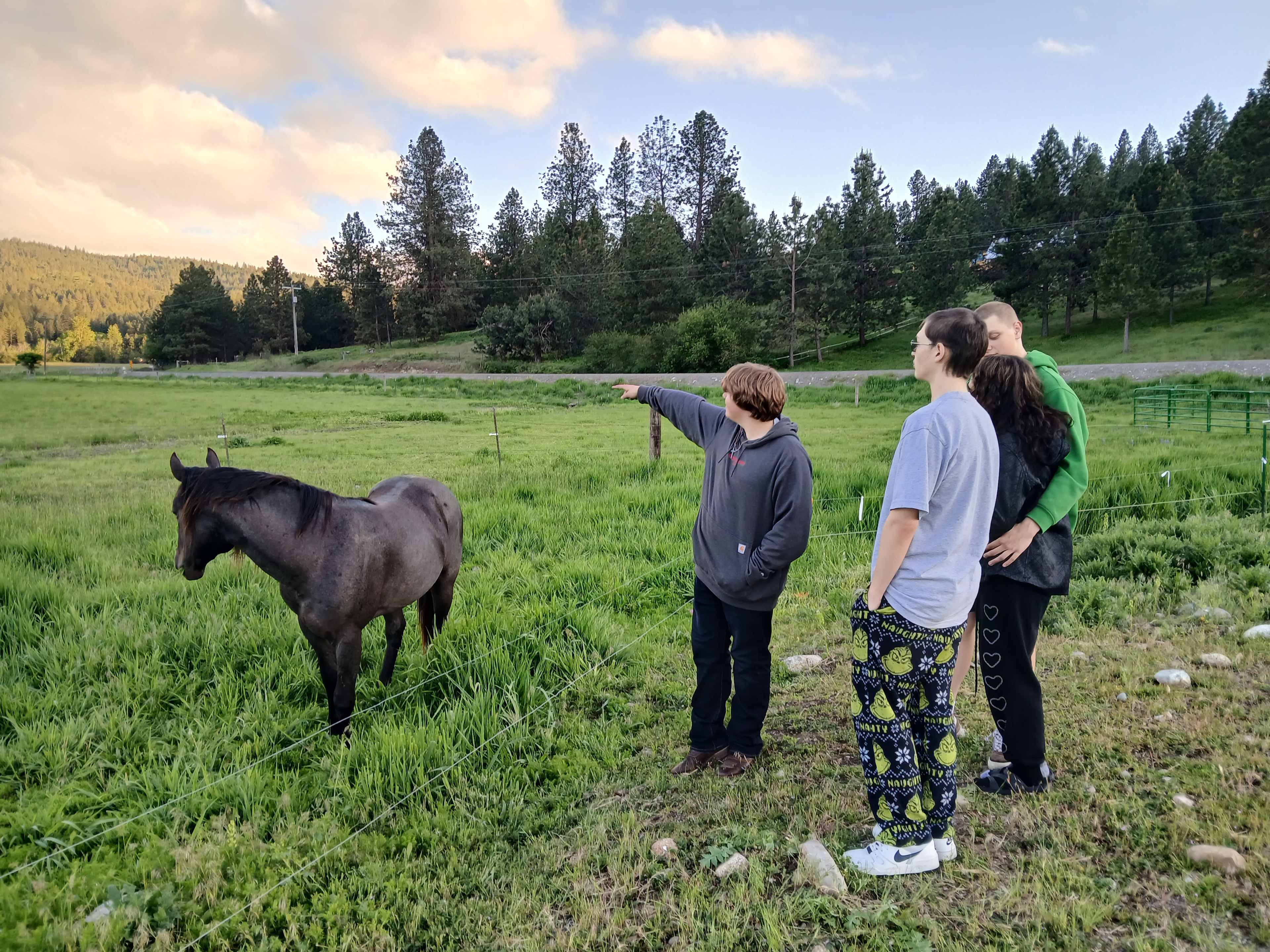 Mica Valley Ranch