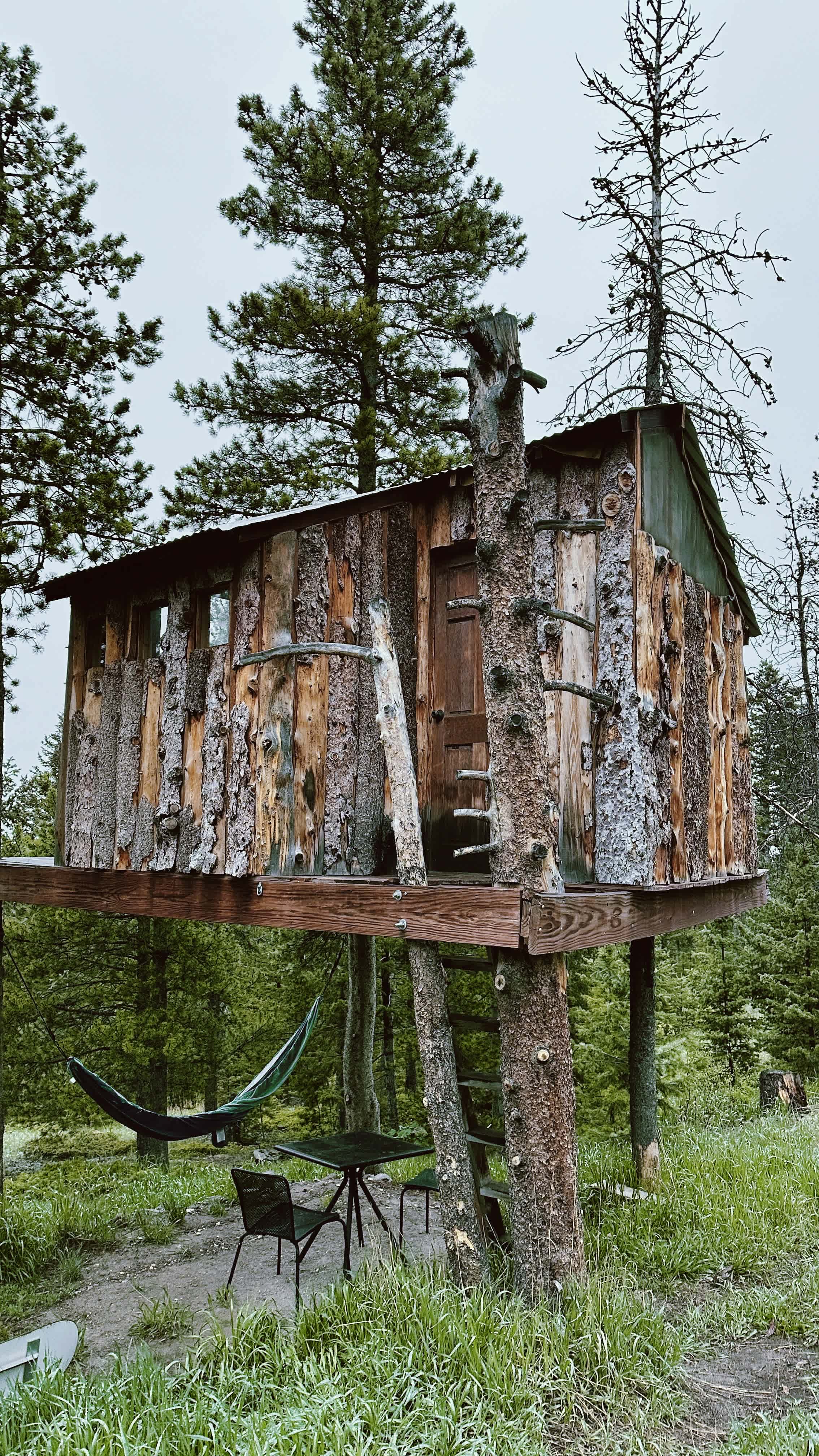 Gold Nugget Tree House