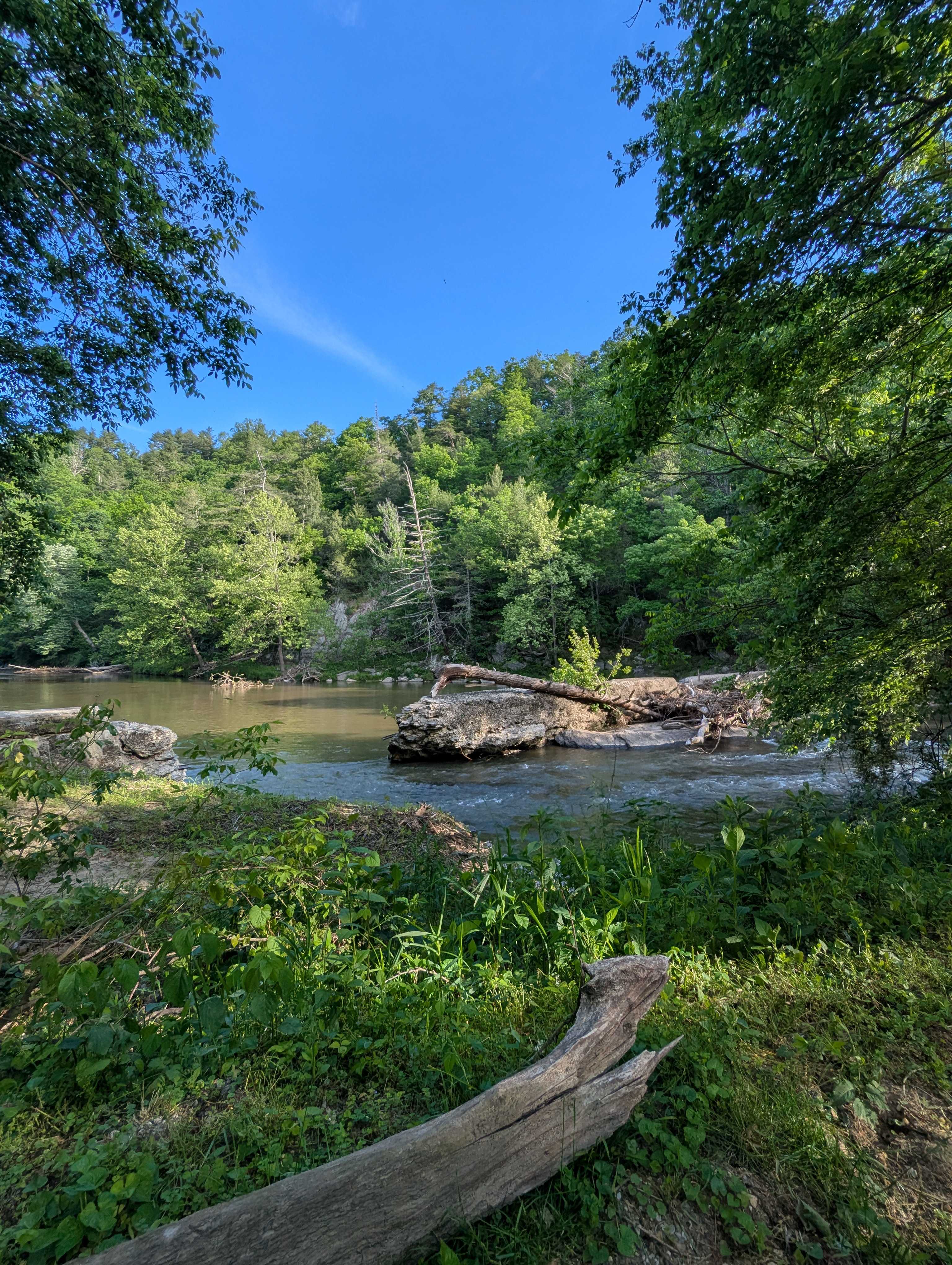 The River's Edge