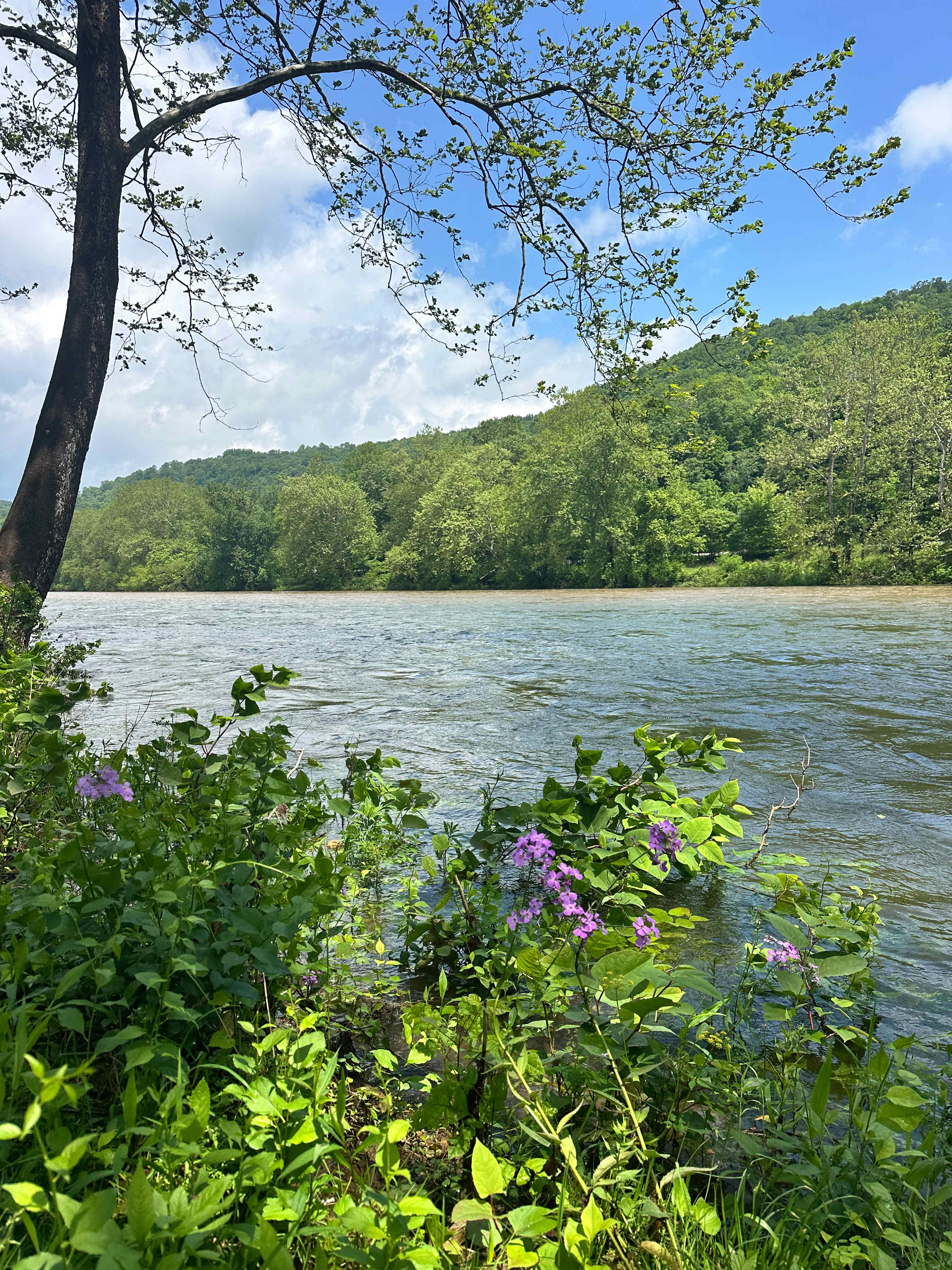 Private Riverside Retreat