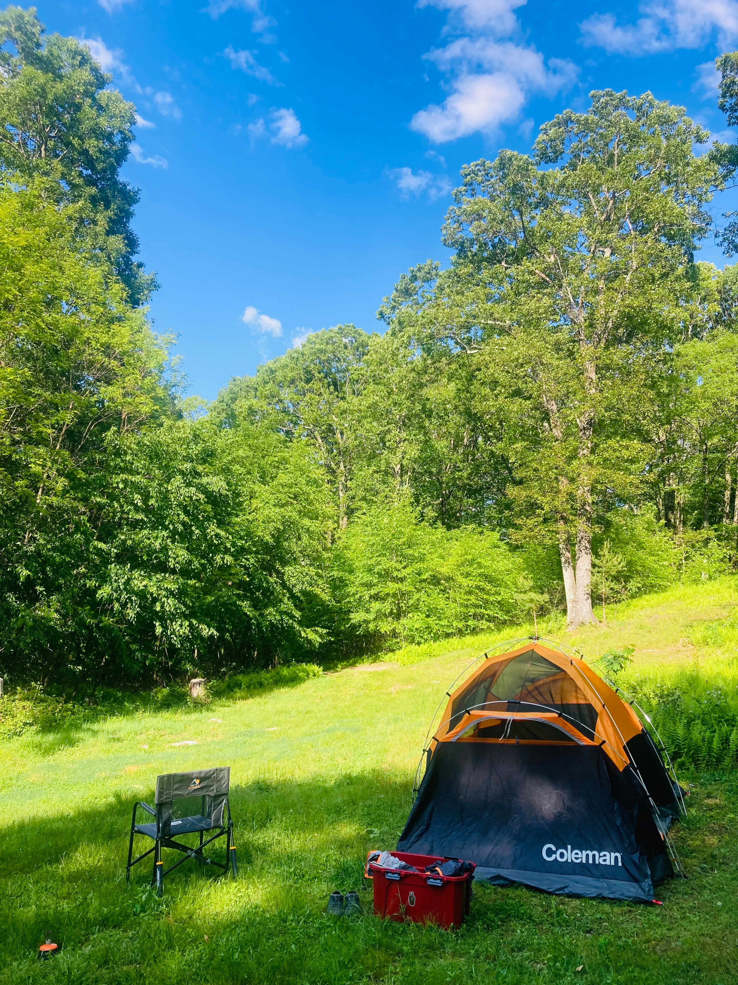 Shenandoah NP Mtn Field