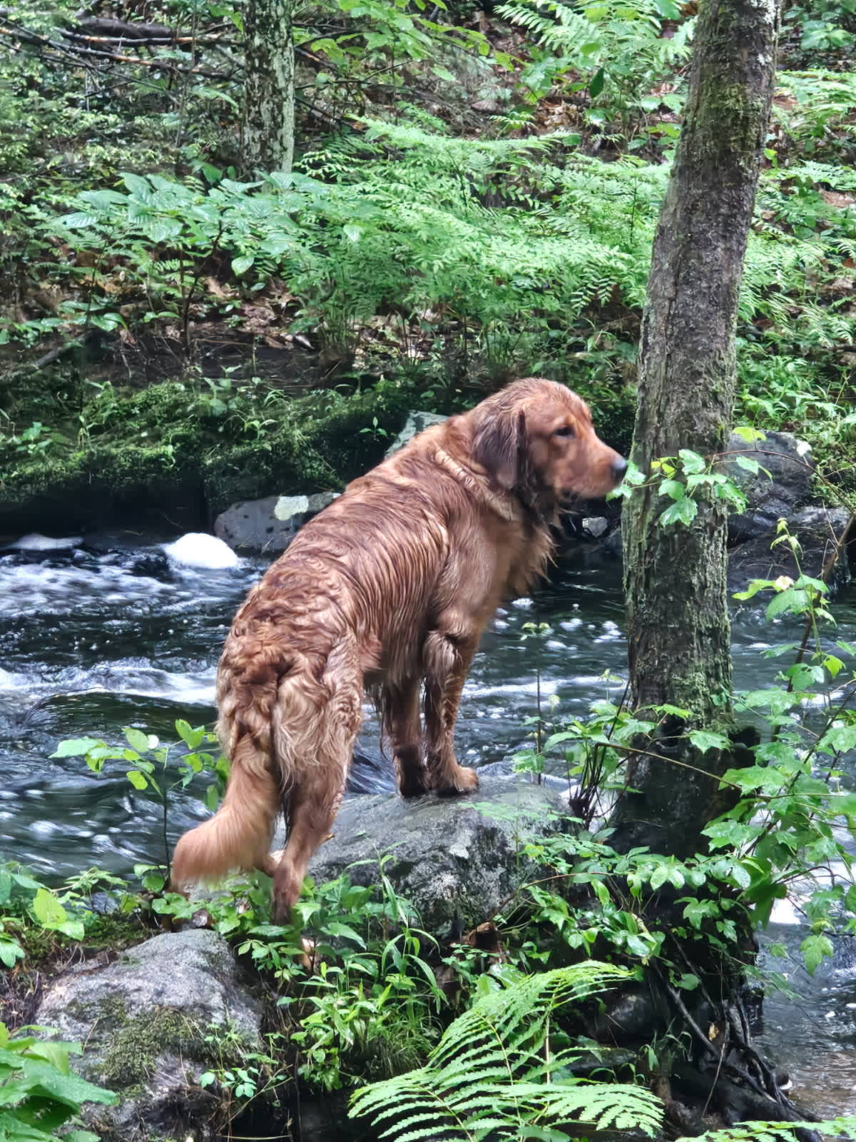 Doug at site 3 
