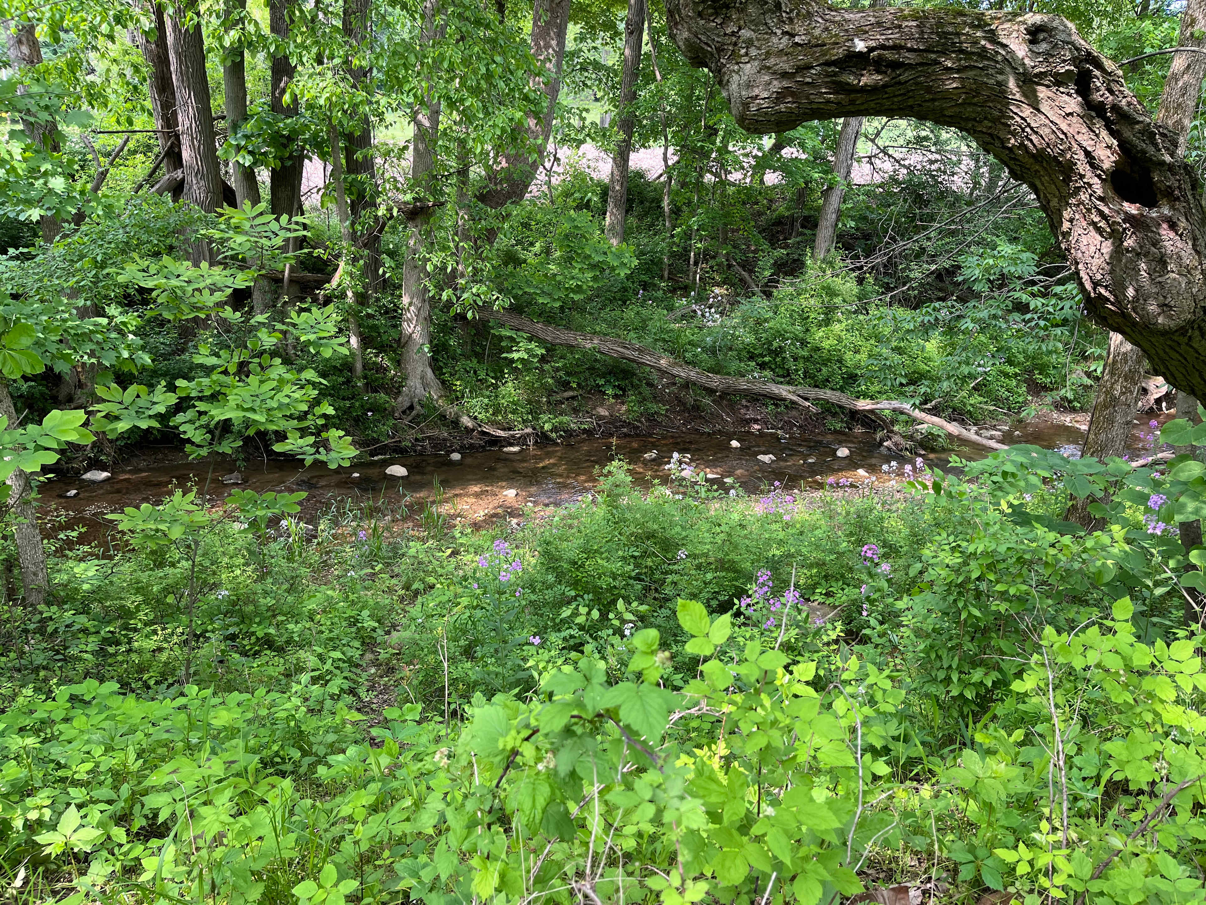 The Pleasant Valley Farm