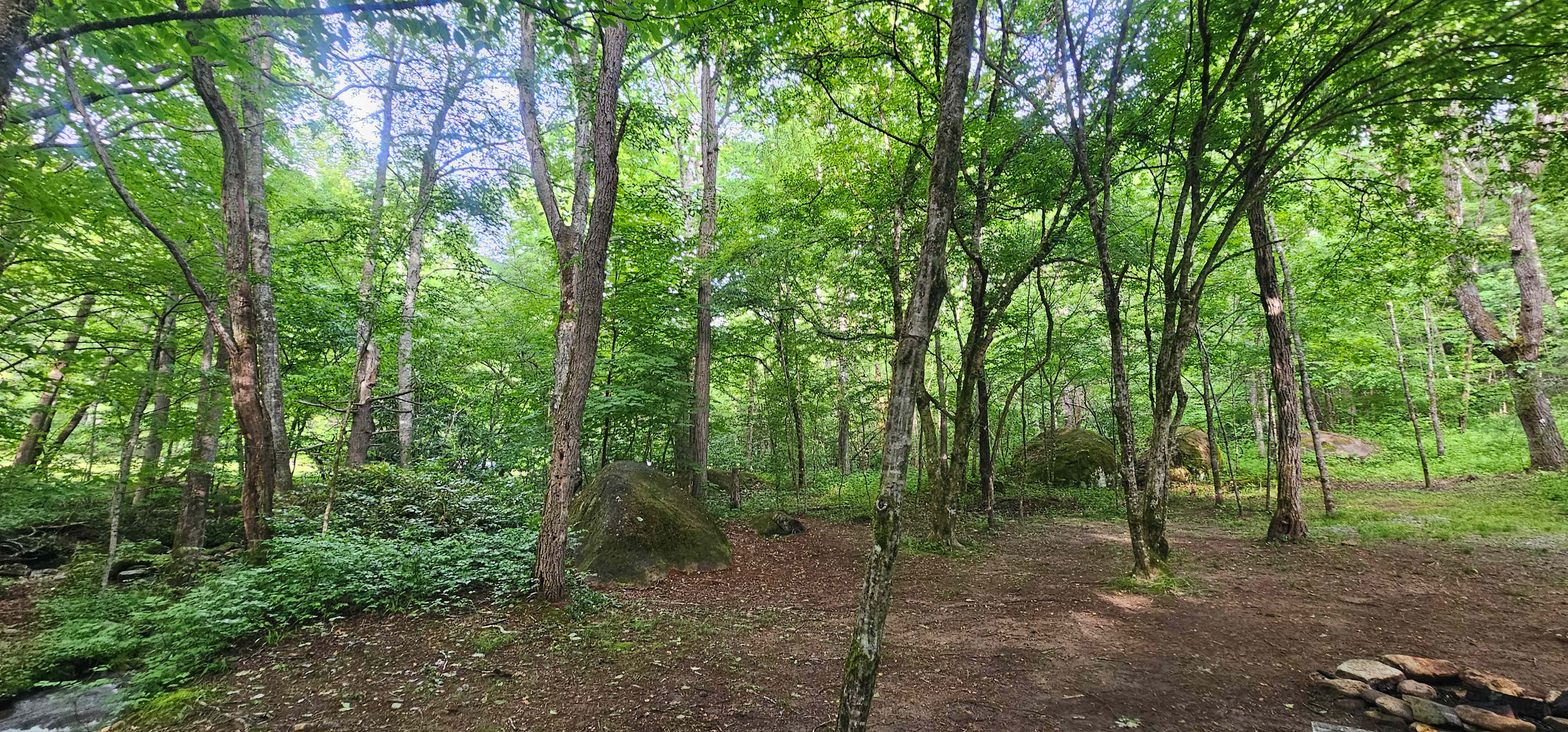 Tent site