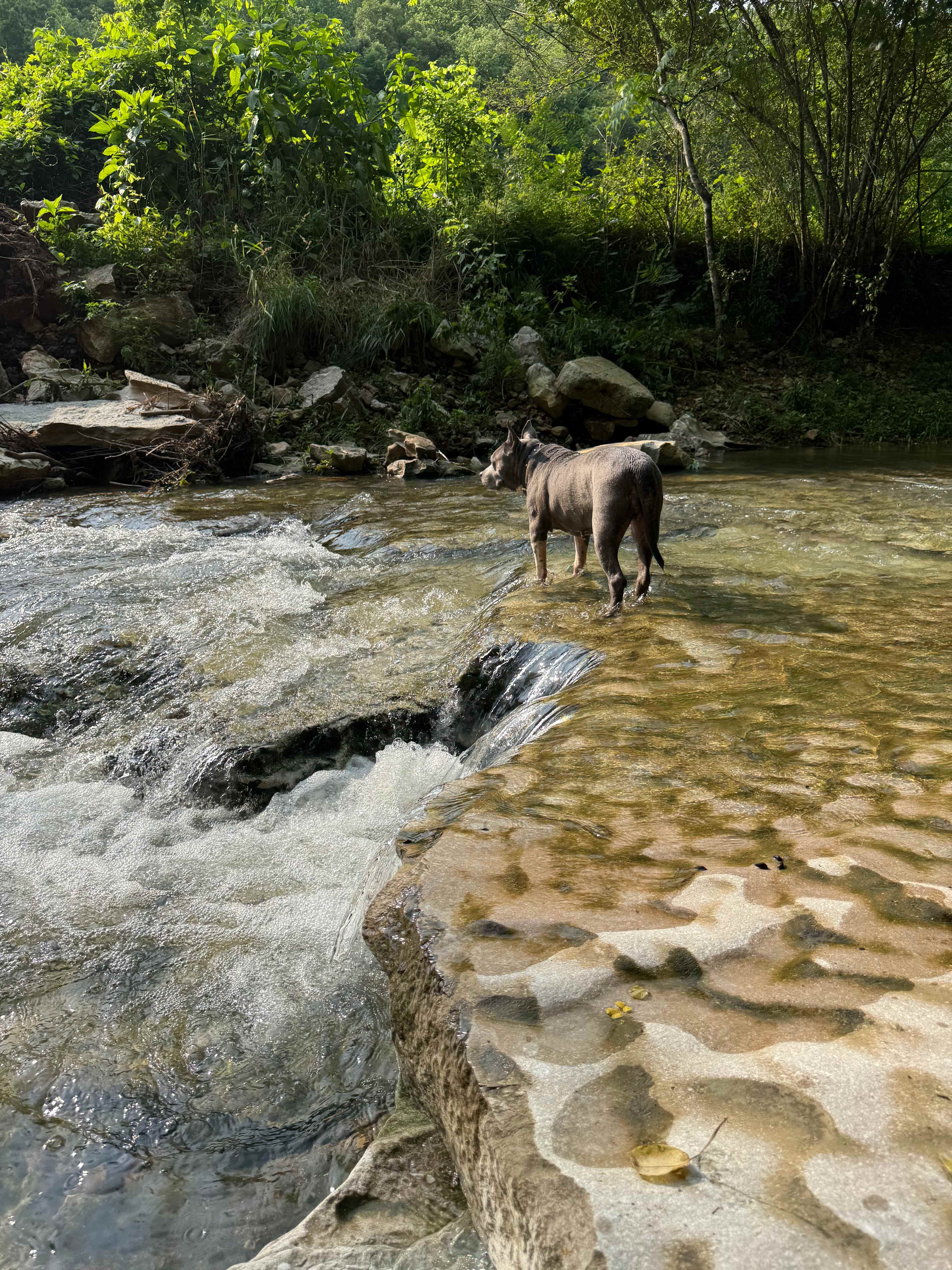Caney Hollow Creek Retreat