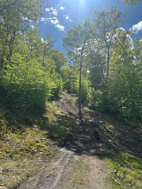 Entrance trail