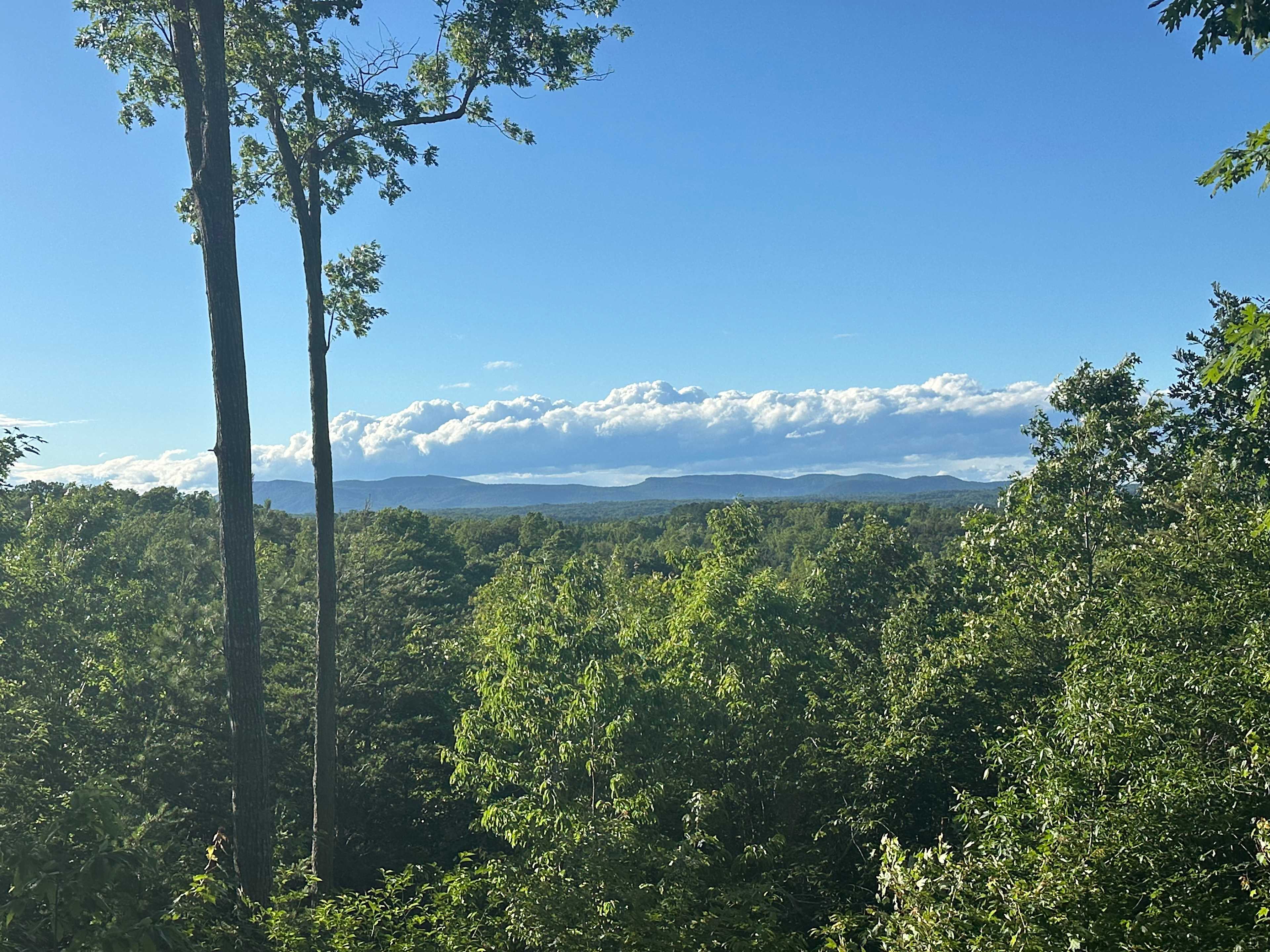 The Rocky Knoll