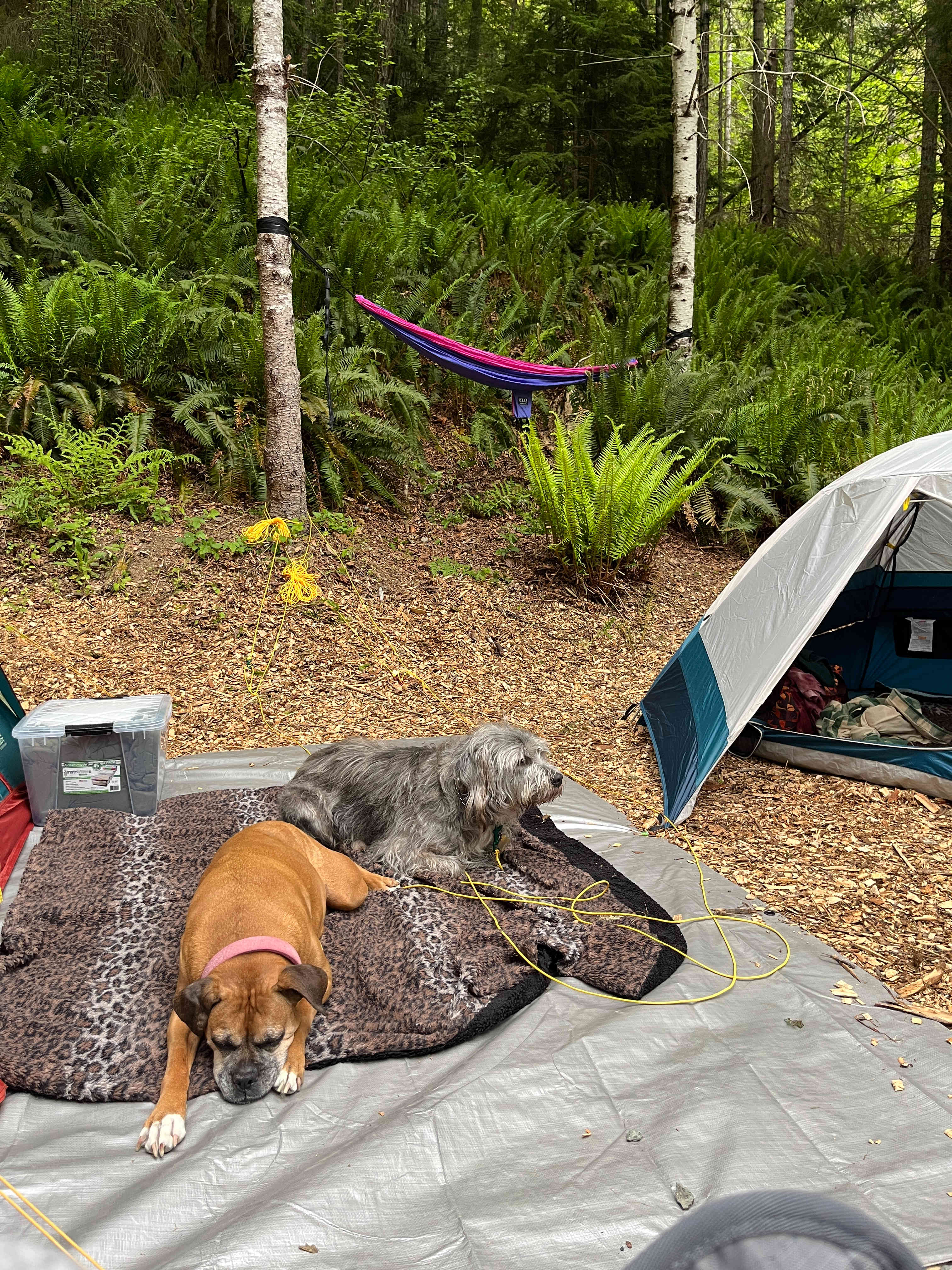 Wandering Joy Campground